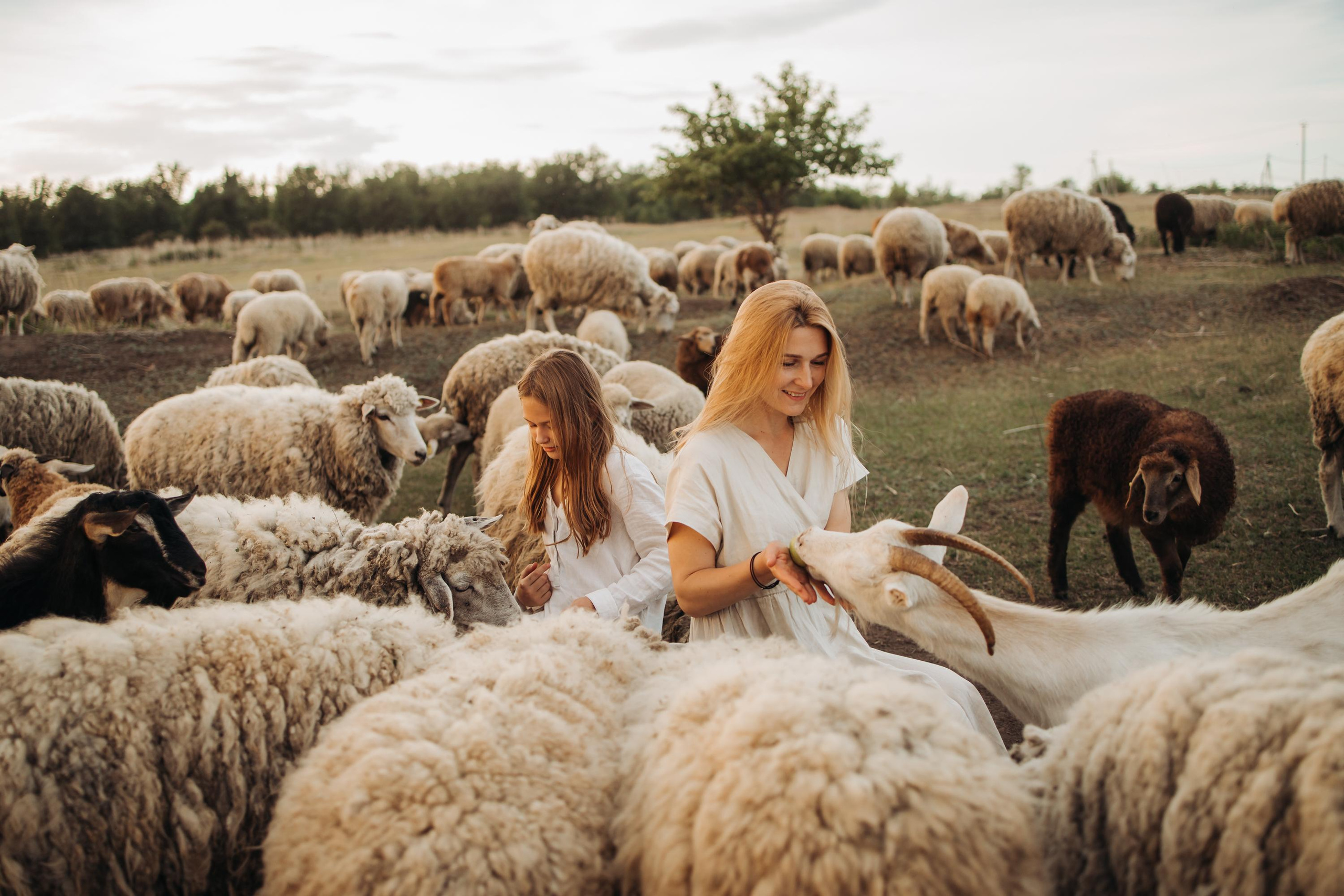 Лена Маша Саша. Семейный и свадебный фотограф Viva Photo