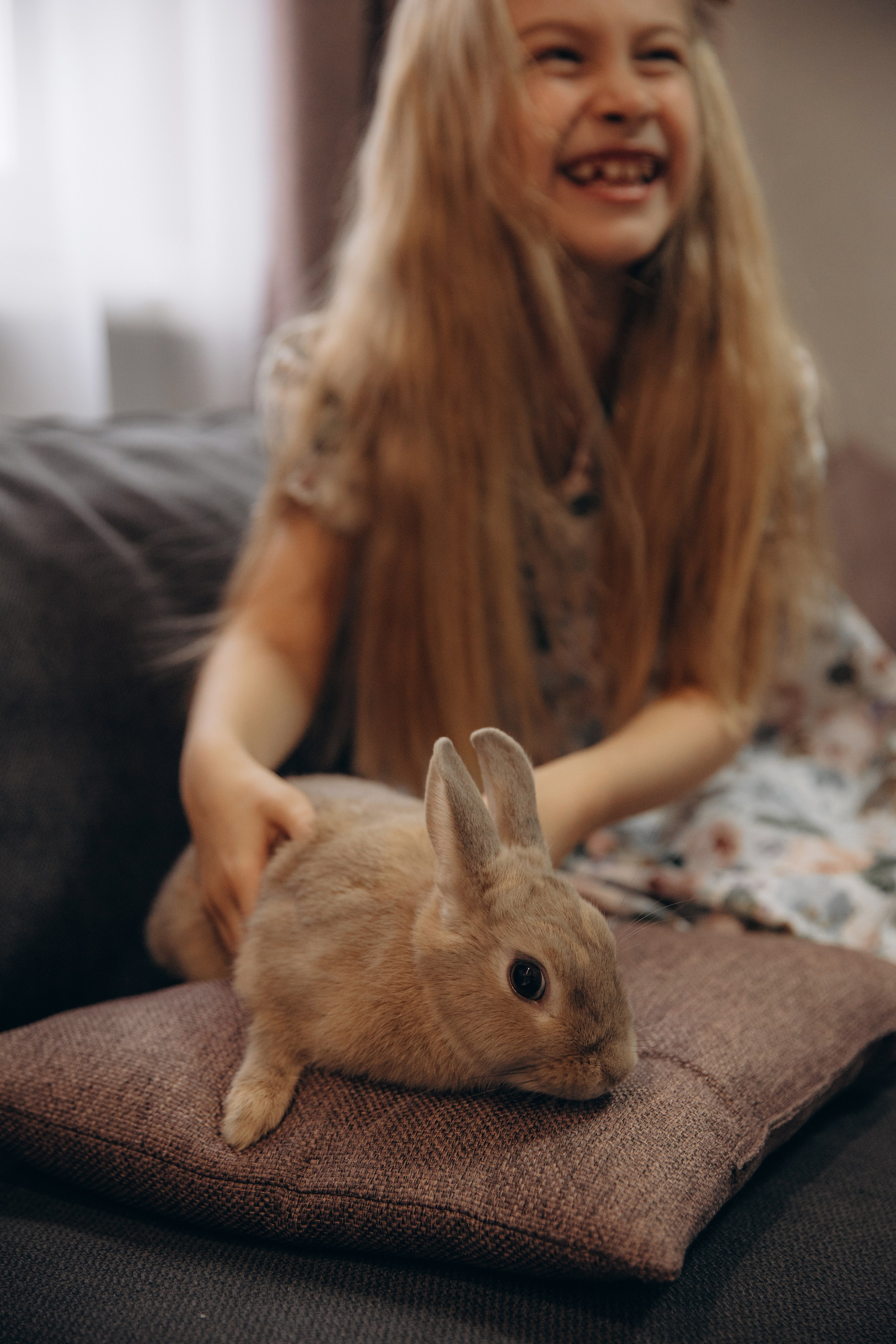 «Ушастые истории». Фотограф Алина Ионычева в Новосибирске