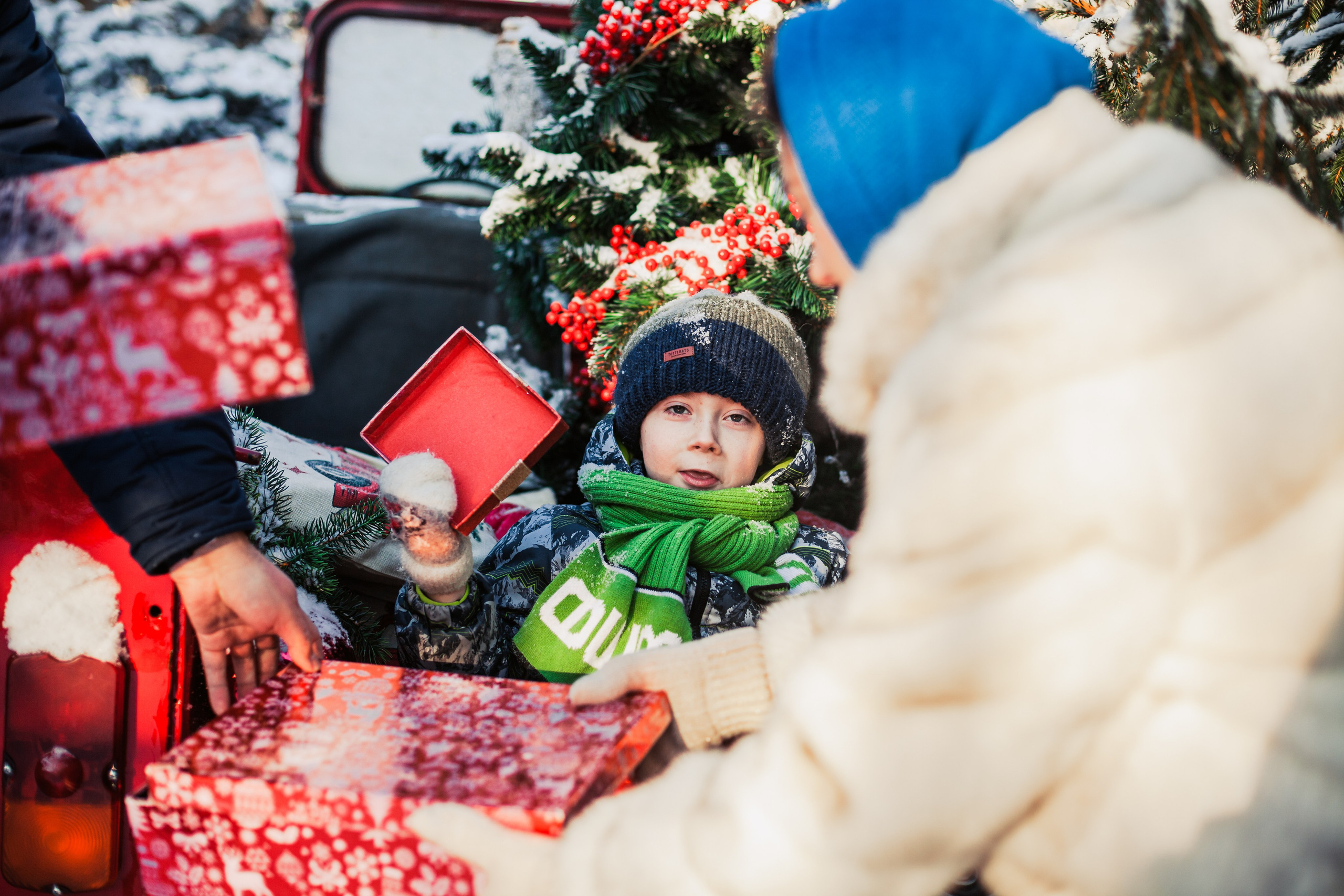Зингер дача. Фотограф-анималист Татьяна Степанова