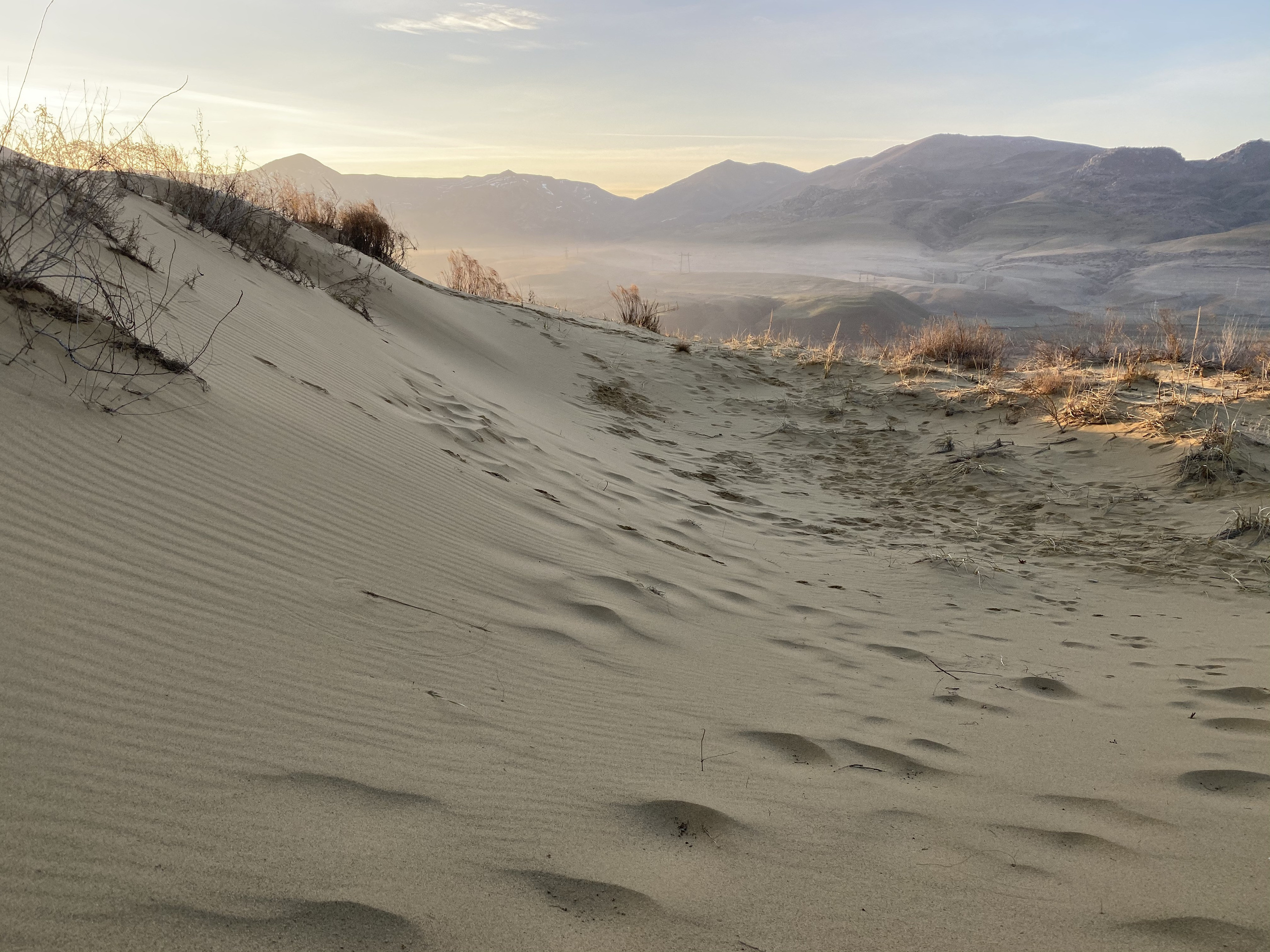 Автор:  Надежда Большакова