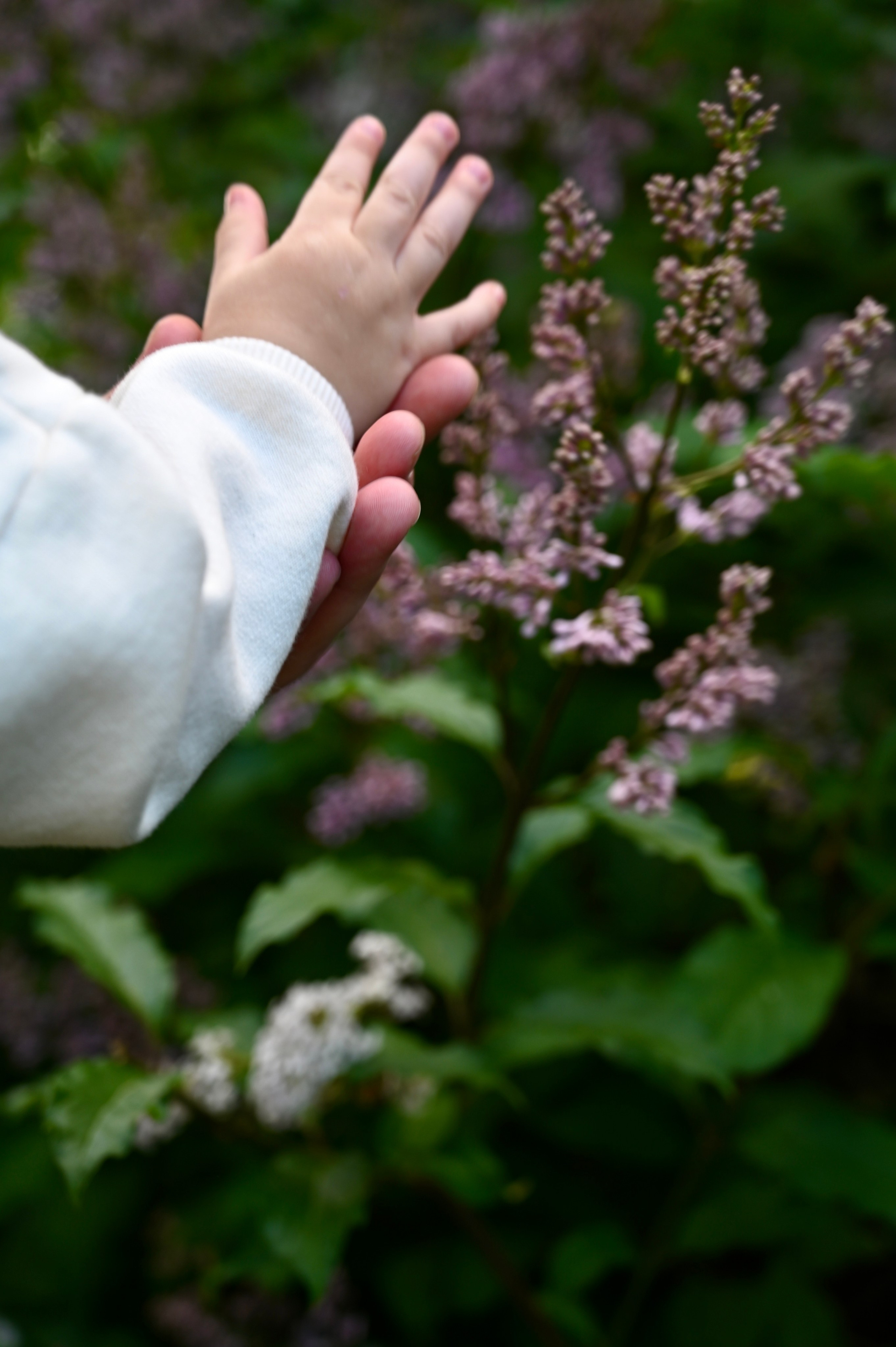 Фотосессия Полины, Дениса и малыша Димы. Свадебный и портретный фотограф в Москве Александр Муравьев