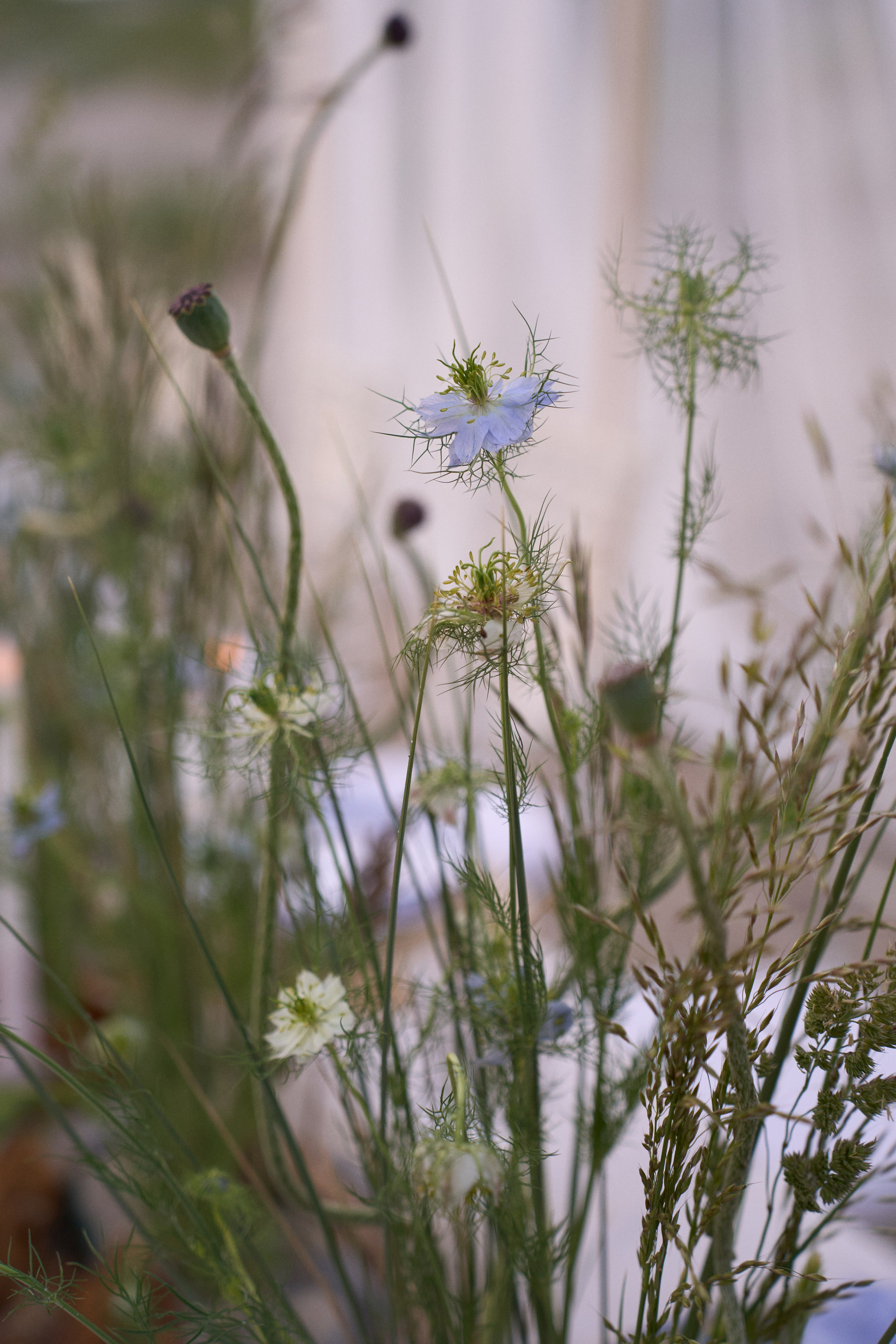 Янтарная свадьба. Калининград. Оформление свадеб, декор свадеб Вера Маркова, Москва