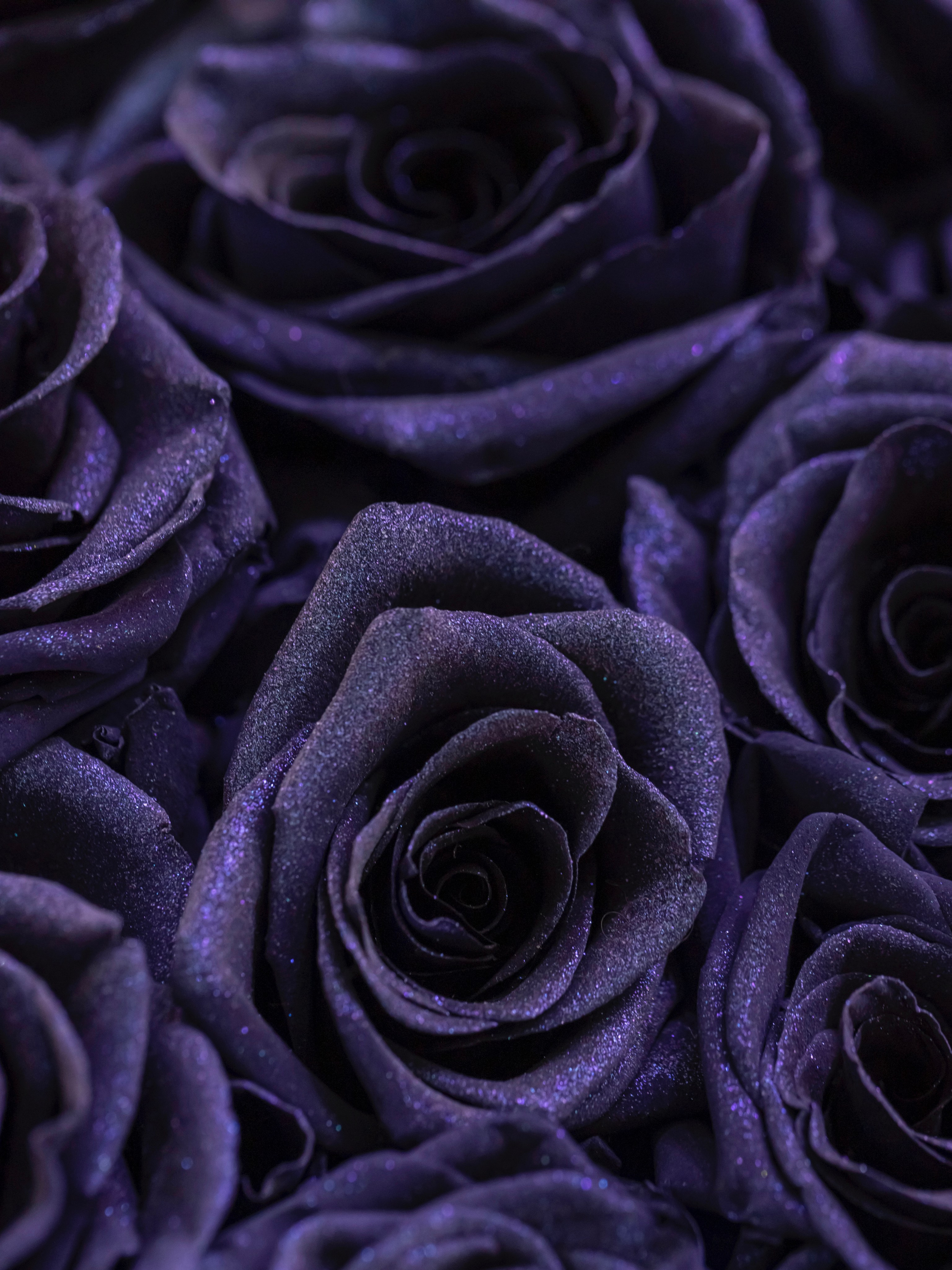 Цветы-Экспо 2023. Фотосессии и репортаж — Фотограф в Москве — Рина Серёгина