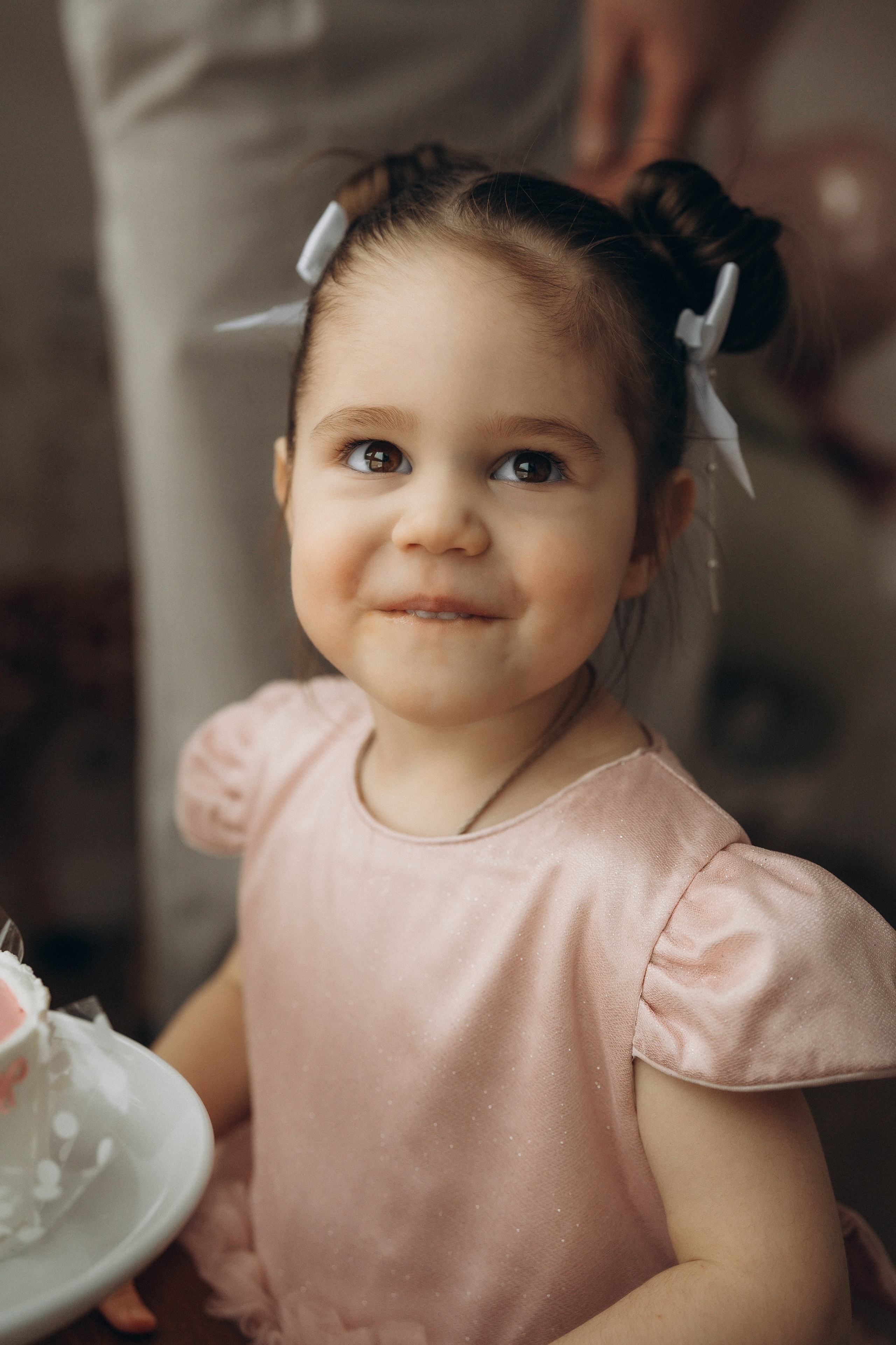 Саше 2 годика. Елизавета Шумик Семейный Фотограф