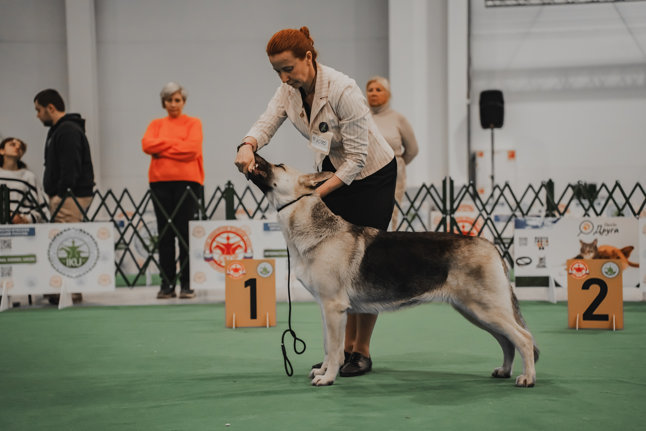 Международная выставка собак всех пород. Репортажный фотограф Анастасия Рубцова