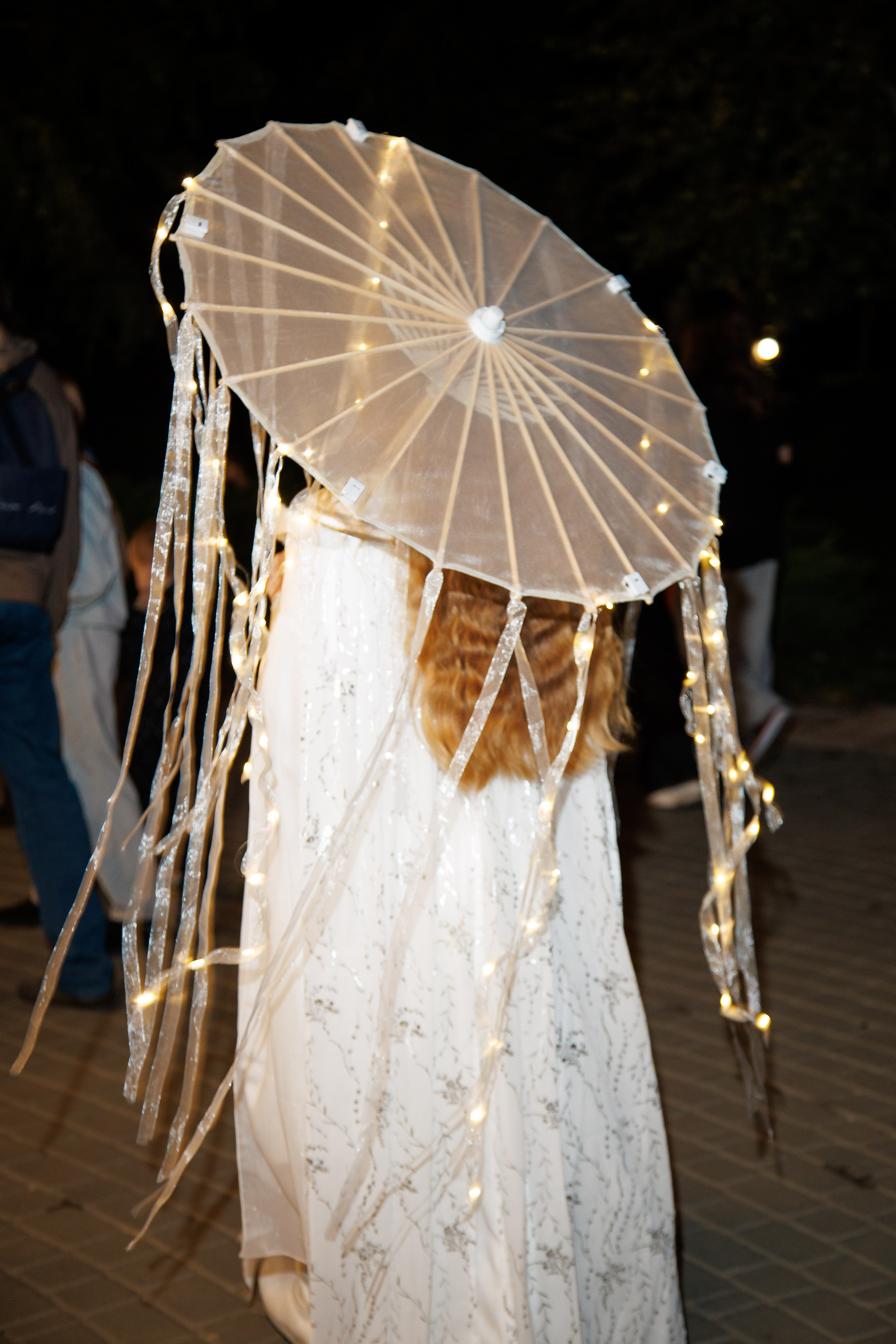 Фестиваль азиатской культуры в Волгограде 2025. Фотограф в Волгограде Норченко Светлана