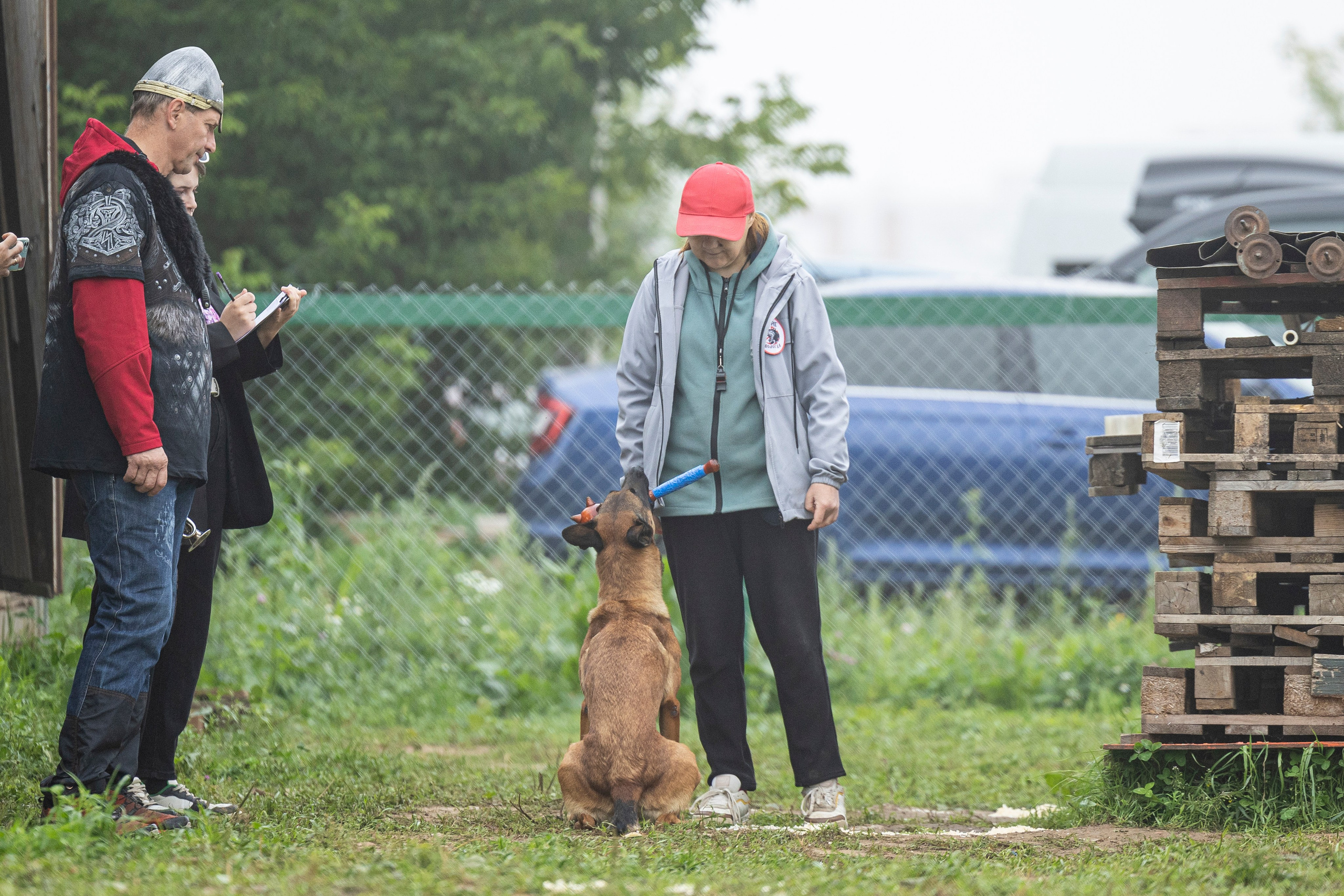Соревнования по Мондьорингу г. Вологда 10-11.08.2024. Фотограф-анималист Анна Маринич