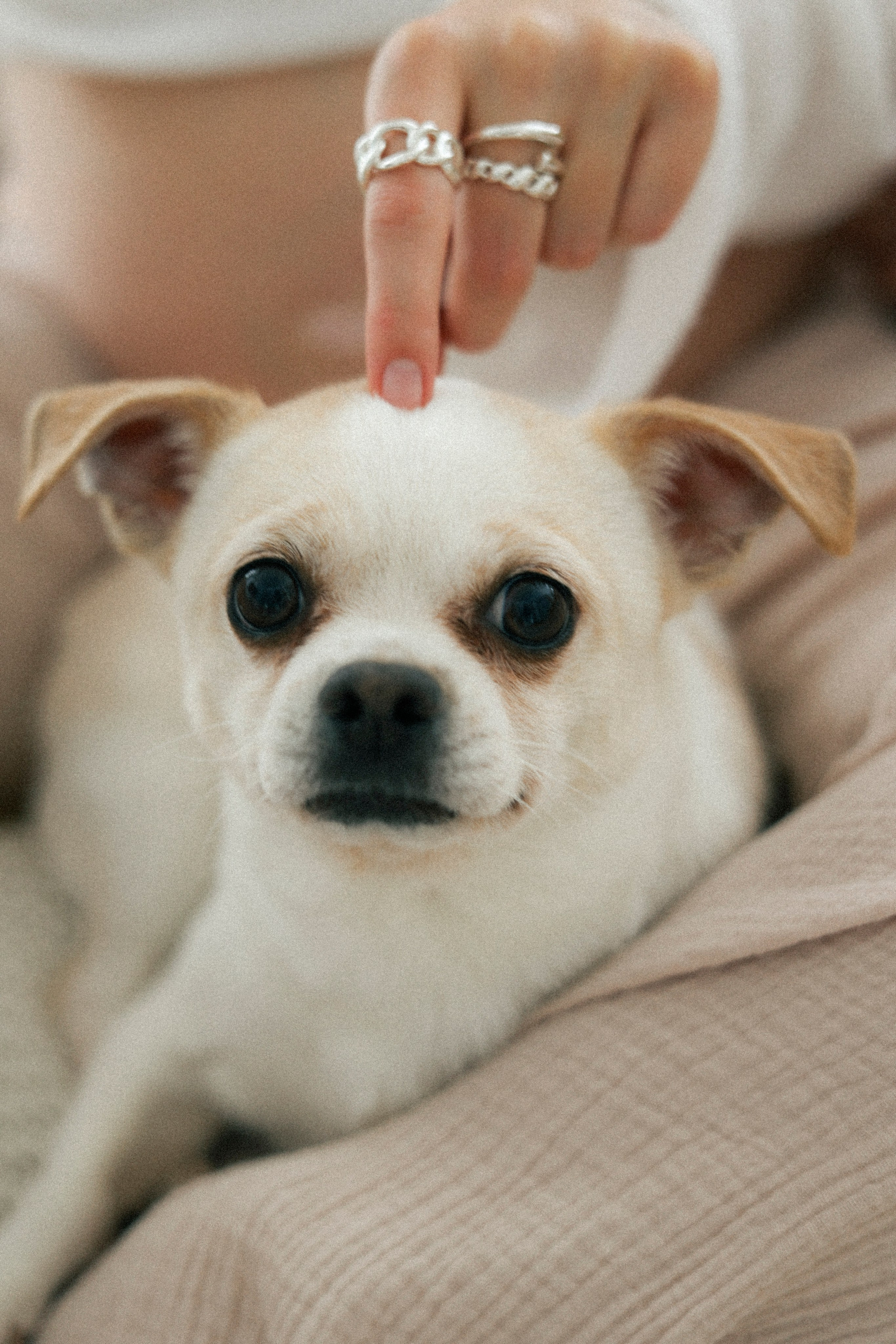 Марьям и Серафим. Фотограф НатаФото (Наталья Яковенко) Дмитров Москва Питер