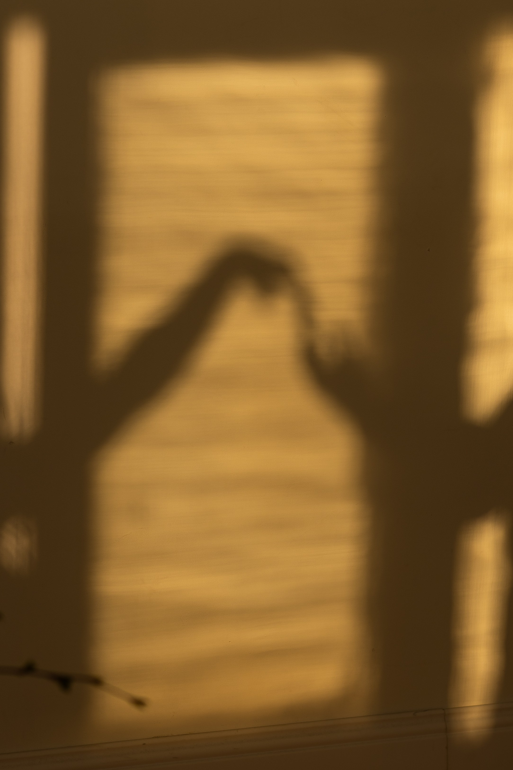 Катя и Влад. Фотограф Ксюша Белоносова