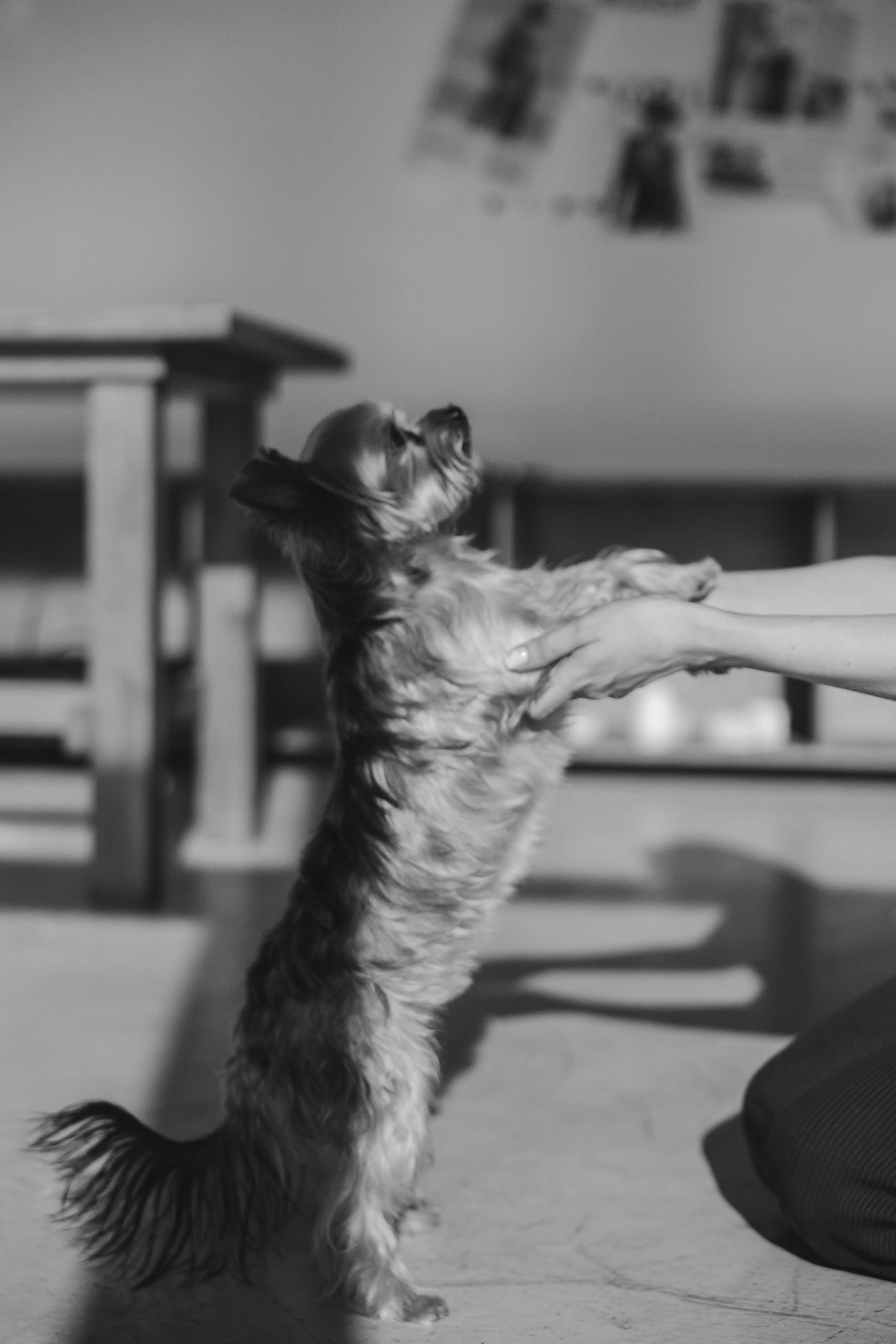 Ефим и Даша. Главная