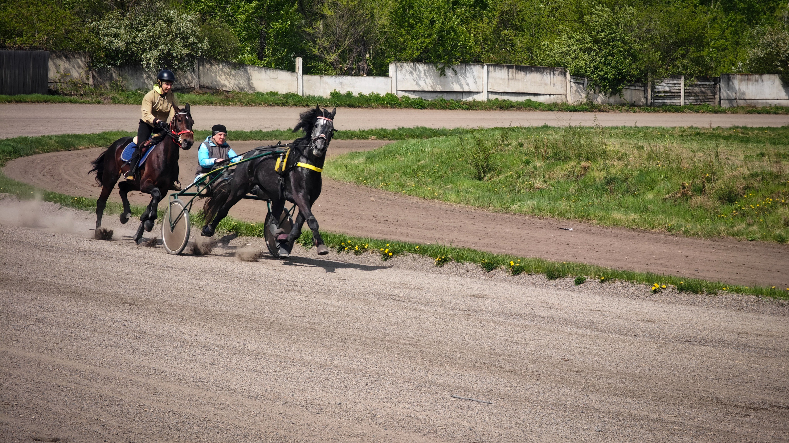 Красноярский ипподром. Открытие сезона 2025. Игорь Урывский. Фотограф Красноярск