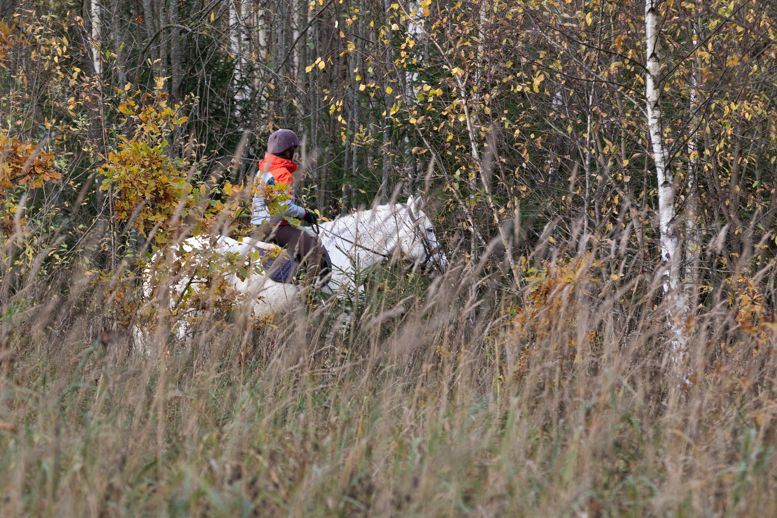 Жители города Х — Фотограф Анна Зиновьева. Фотограф Анна Зиновьева