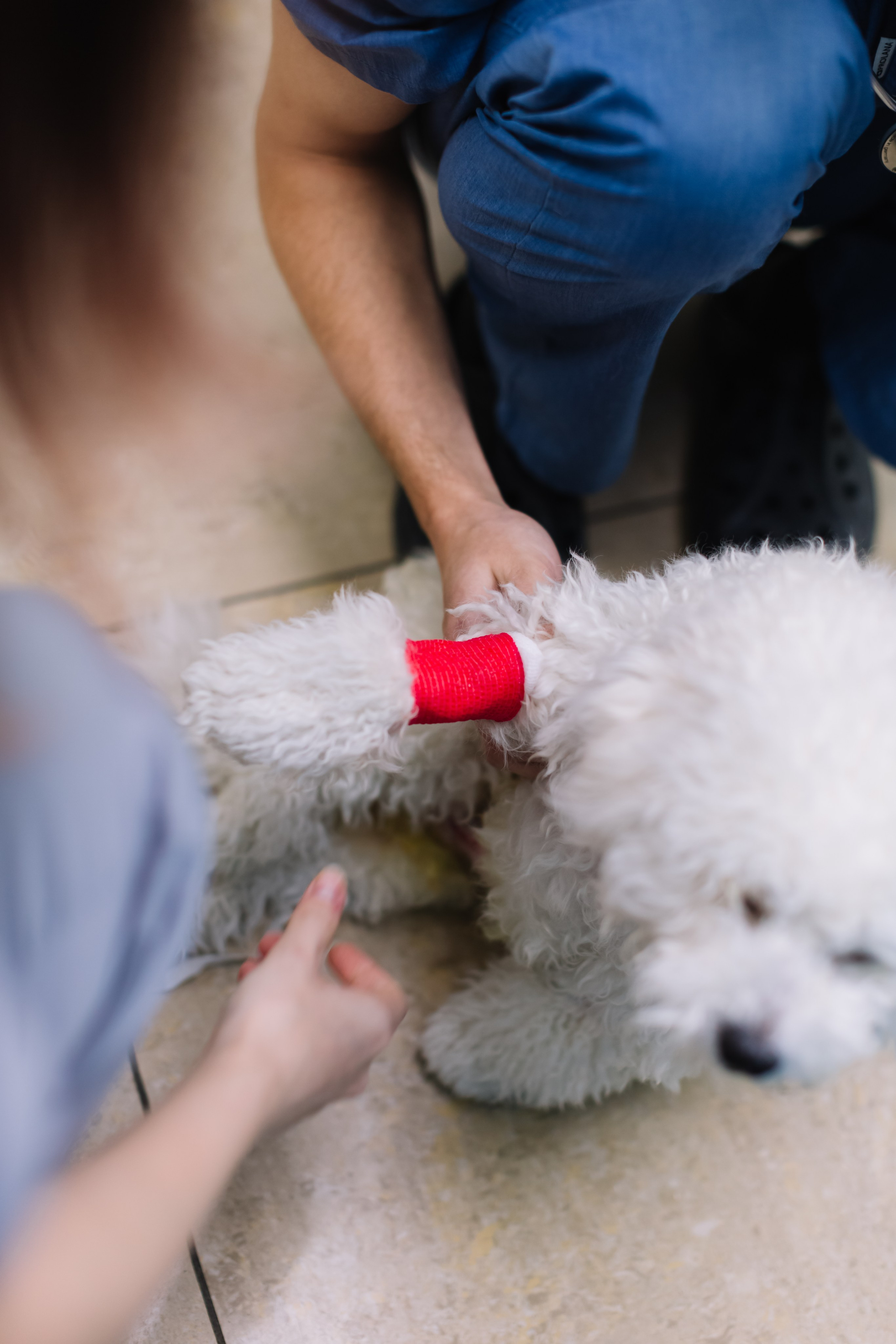 алёна малахова фотограф новосибирск семейный детский домашняя фотосессия в новосибирске день рождения репортажная съёмка фотосессия с лошадьми на конюшне деревня алтай  на природе фотосессия в детском саду мама и сын предложение руки и сердца идея  помолвка фотосессия берег закат детский день рождения годик торт аниматор лофт игровая продолжение следует prodoljenie_sleduet_  корпоратив тимбилдинг первоклашка линейка  контент  бизнес портрет оперный новат франция берет весна девушка