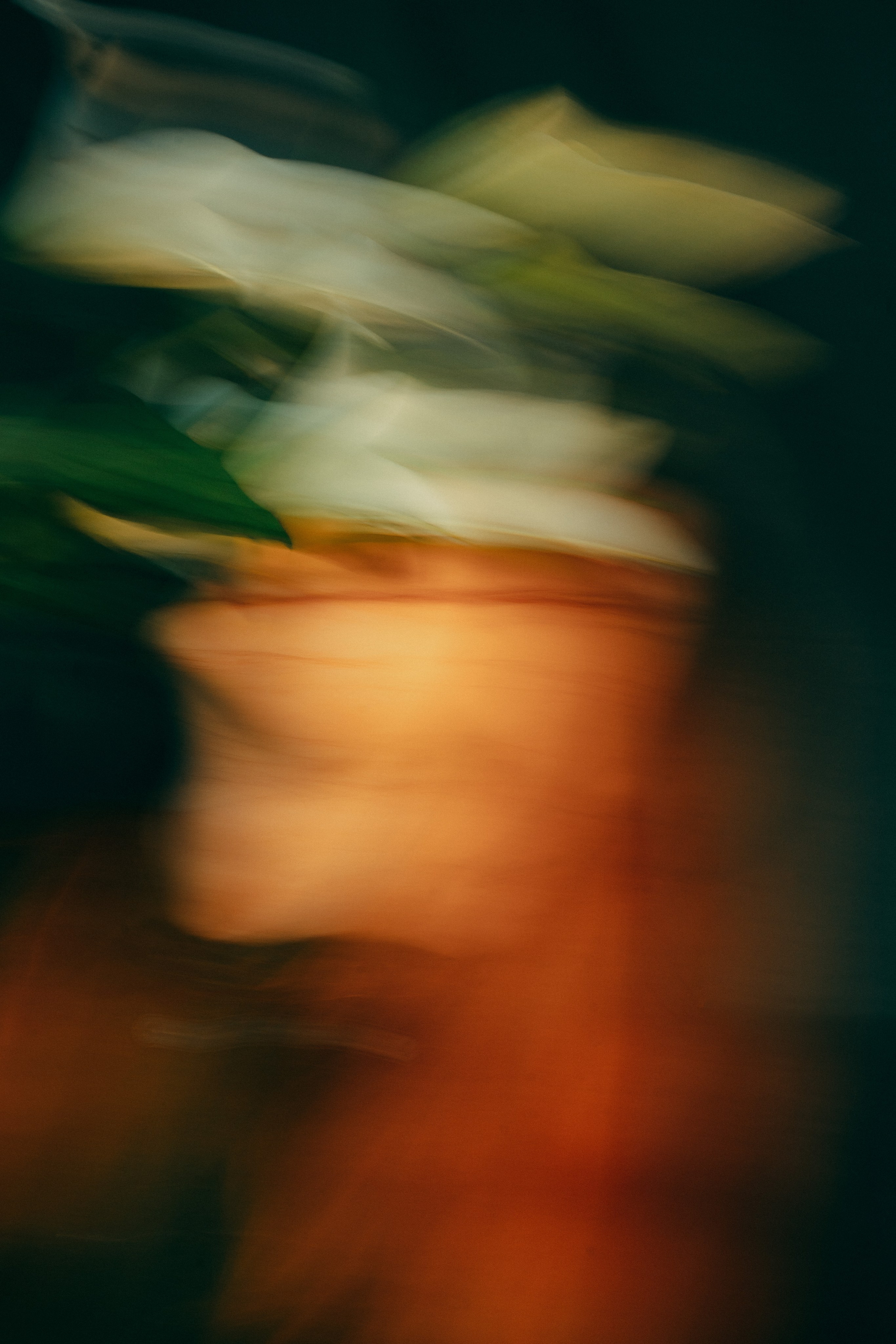 Портрет. Фотограф Москва