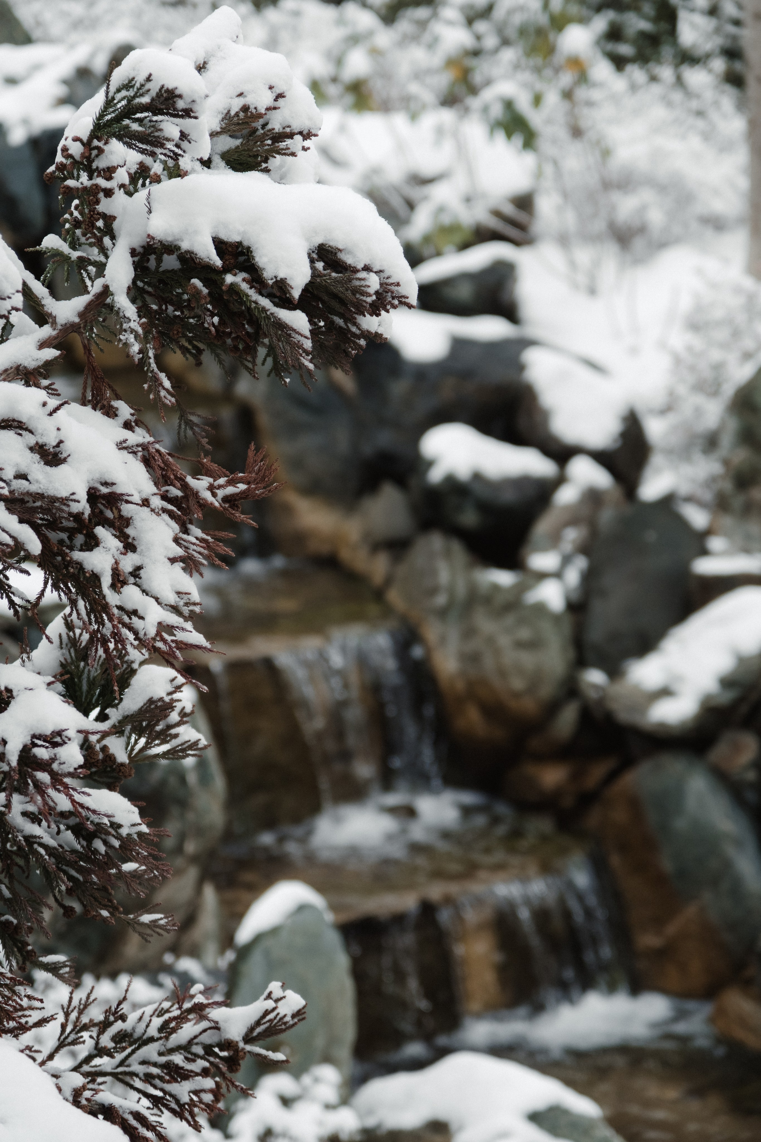 Japanese Garden in Krasnodar. Ekaterina Symidi. Interior Photographer