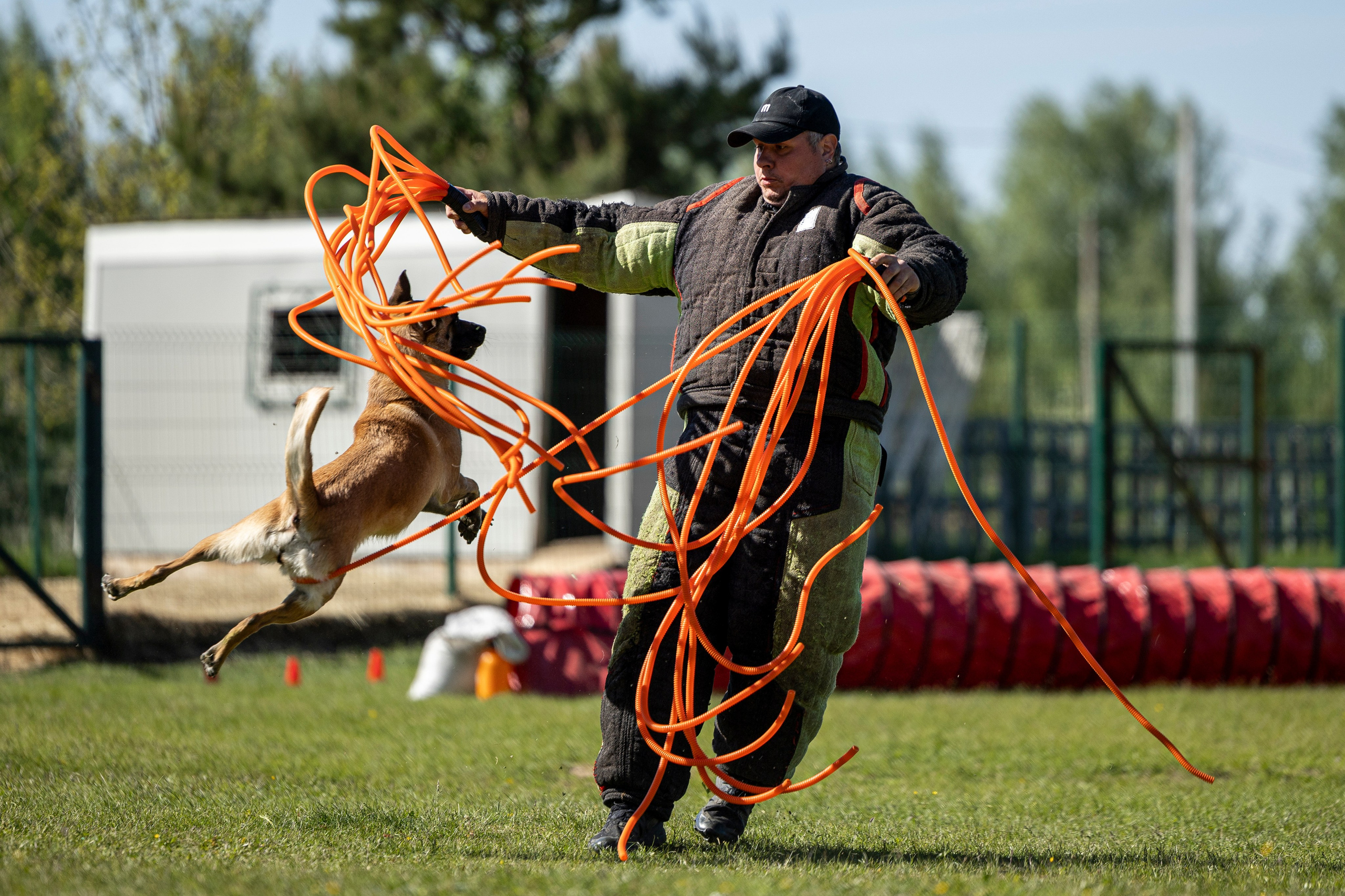 Испытания по мондьорингу в Нижнем Новгороде. Фотограф-анималист Анна Маринич
