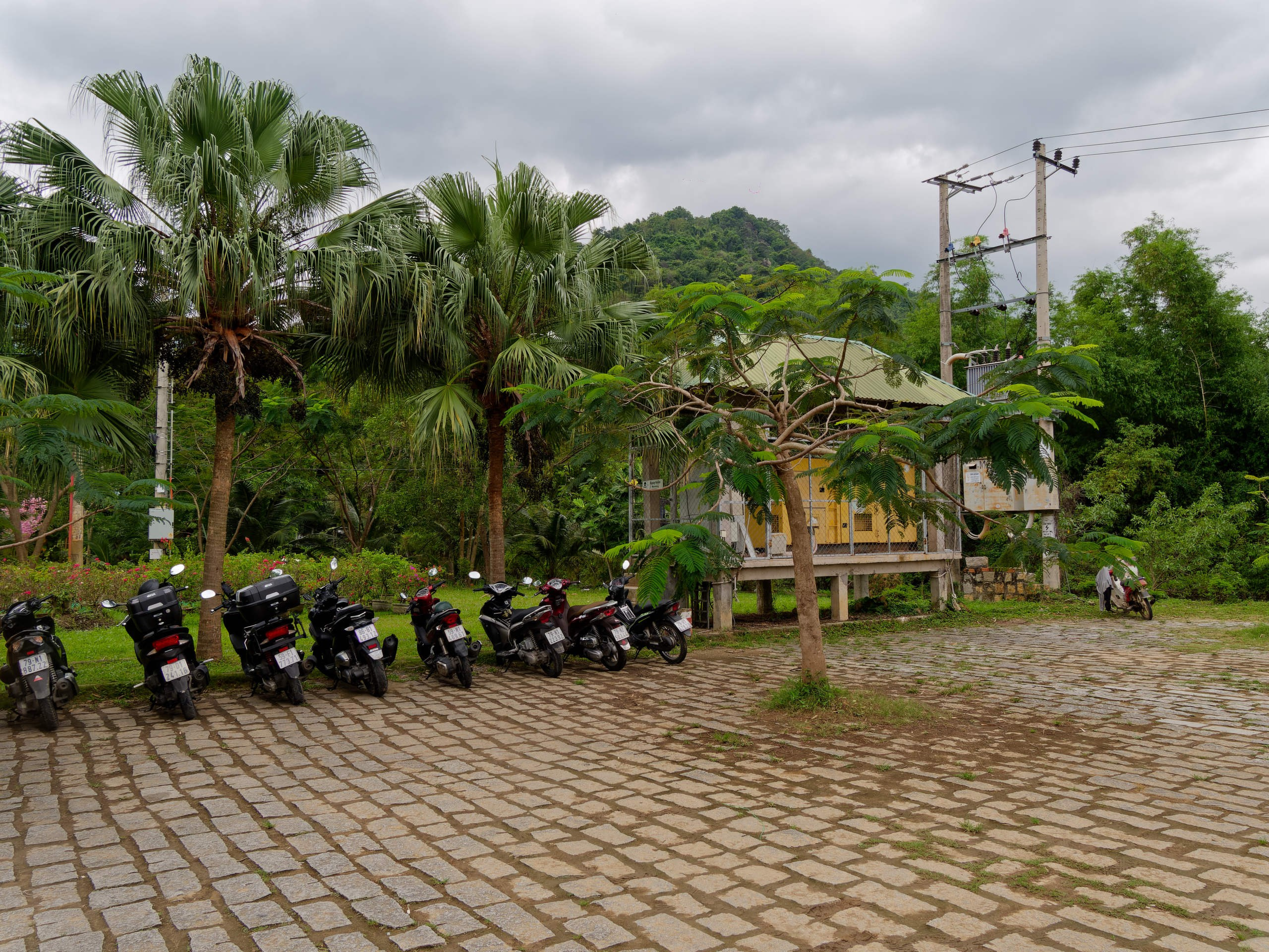 Нячанг 2025 (5). Избранные фотографии