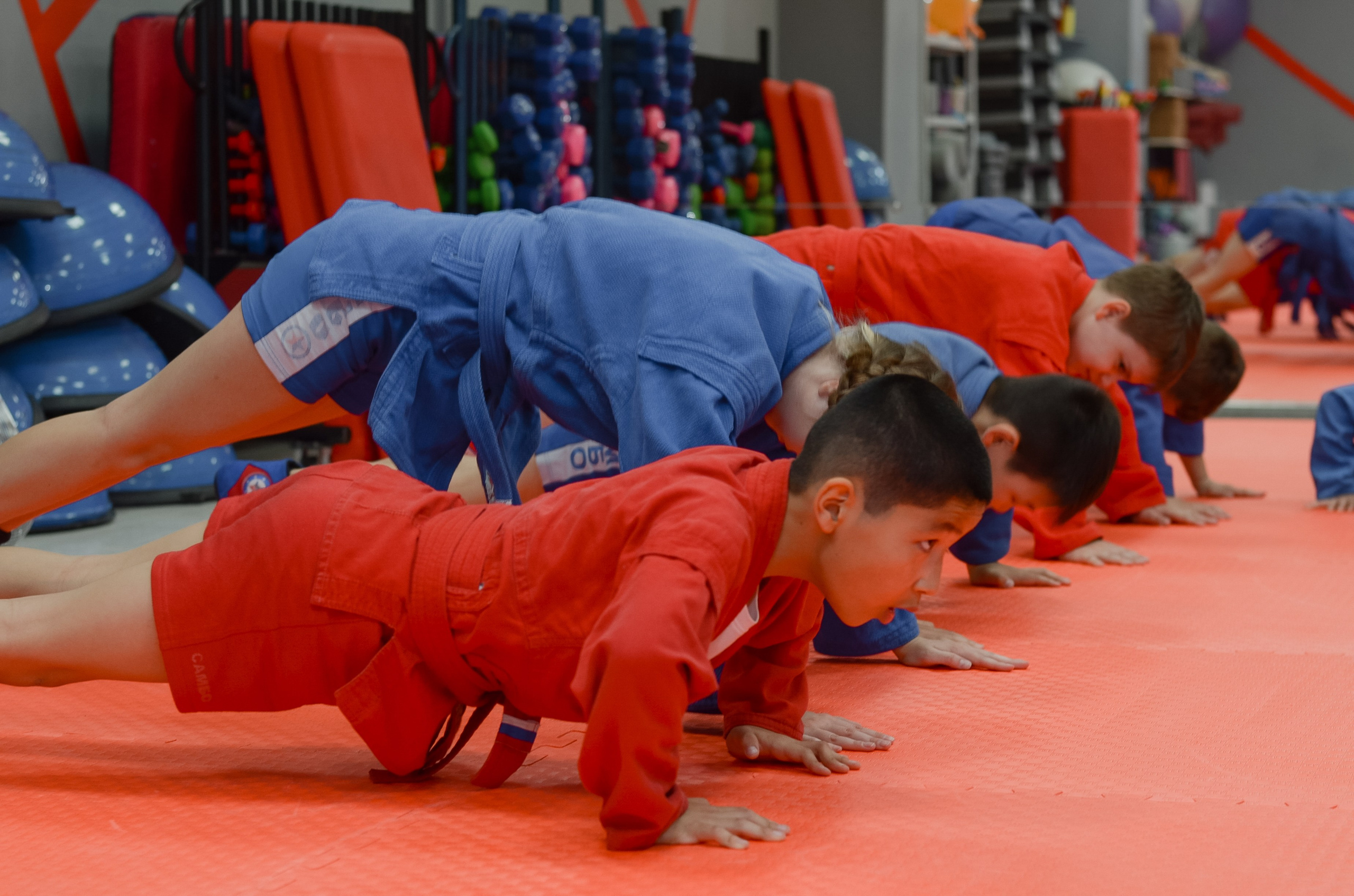 Открытая тренировка. Thephoto-russia.ru