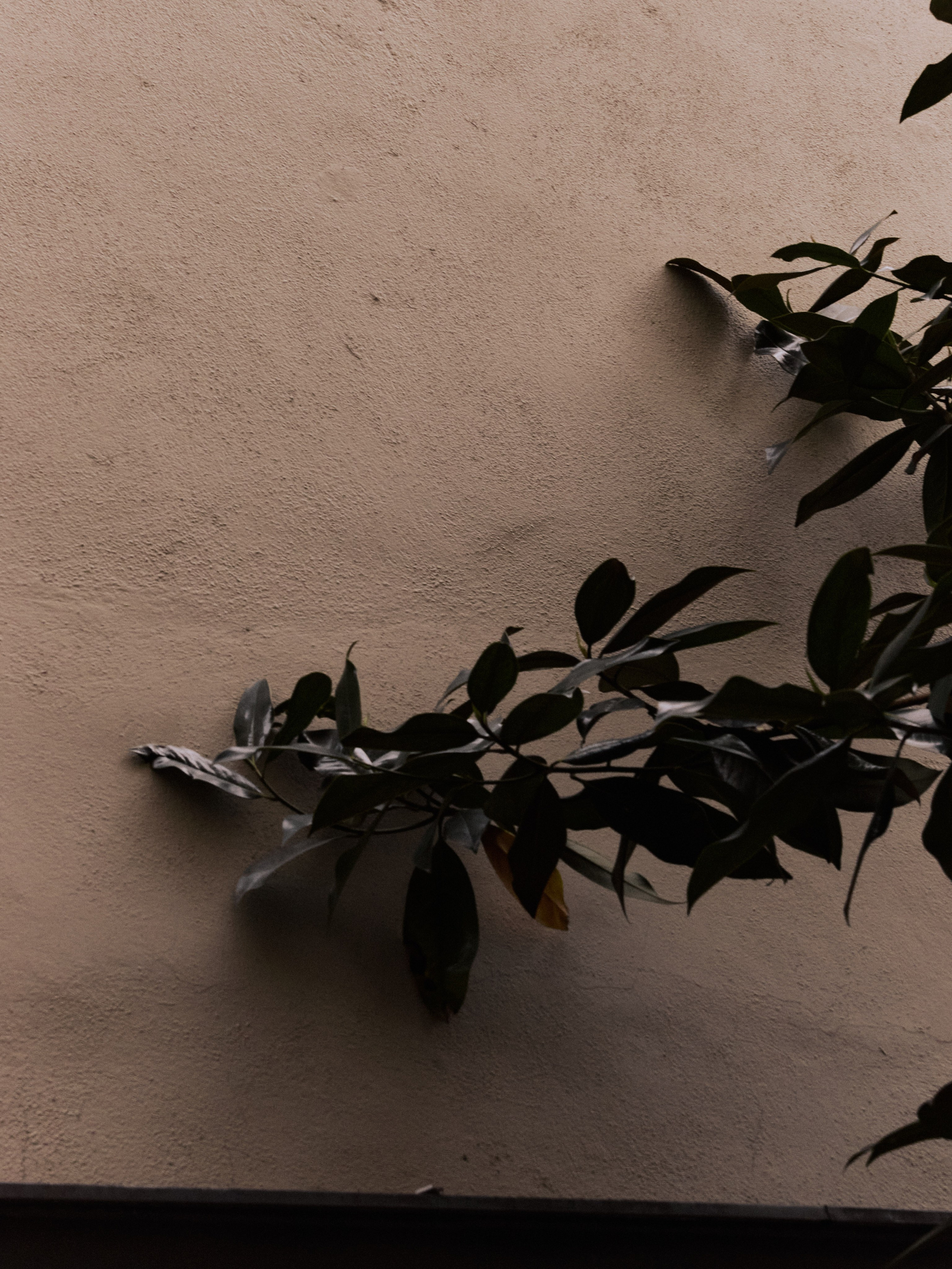 Диптих. Jorgis — фотограф в Хургаде / обучение фотографии