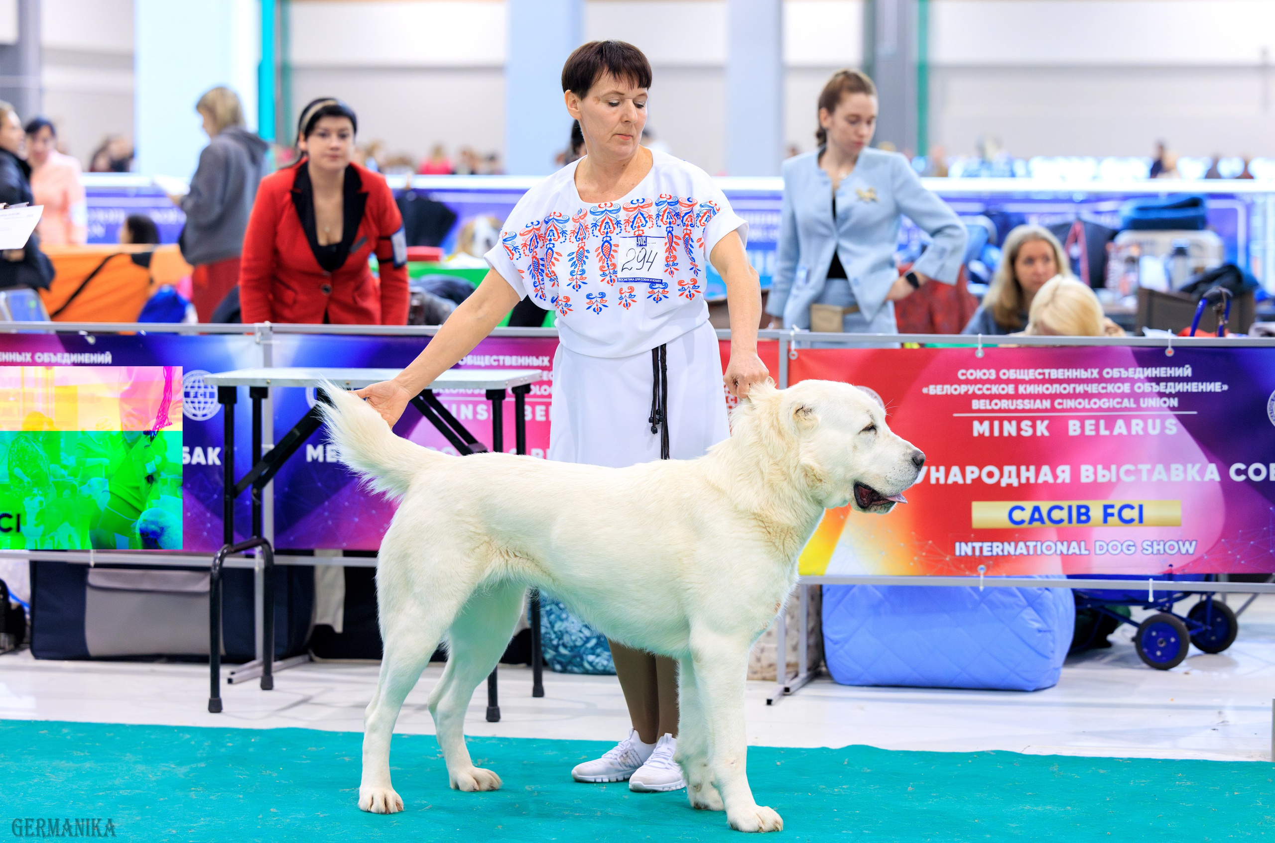Минск 24-25.02.2024. Фотограф-анималист Юлия Германика