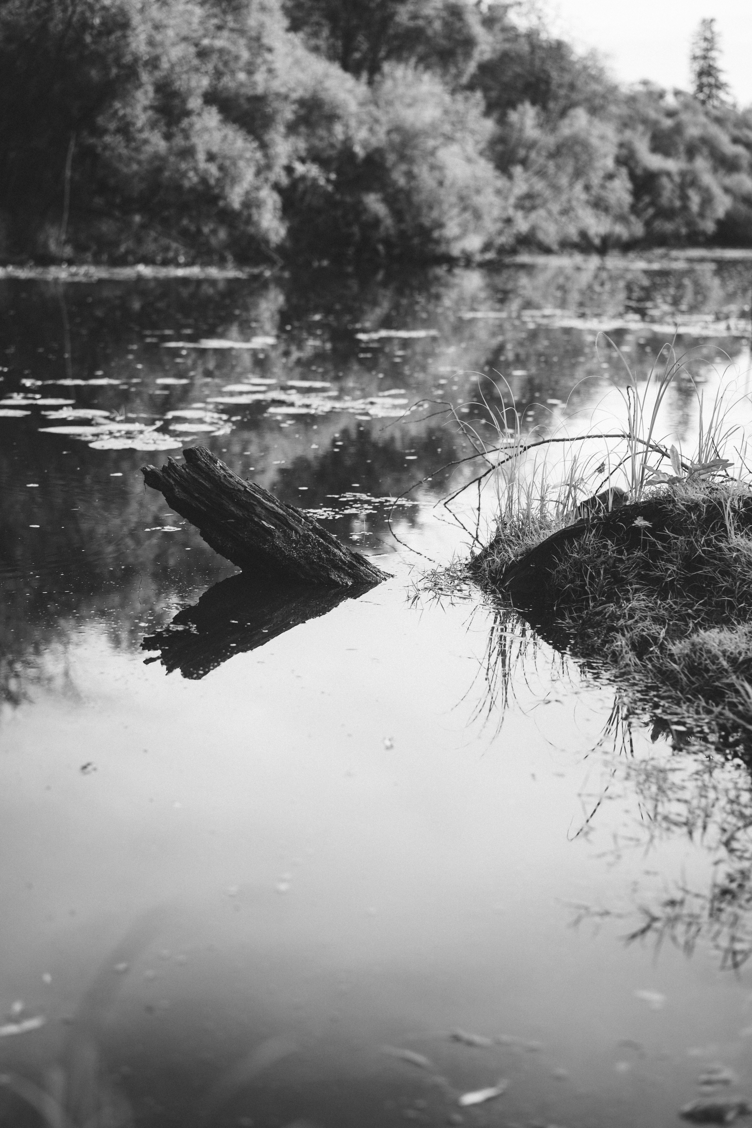 Деревня Петрово (Томская область). Veronika Popadeikina Photographer