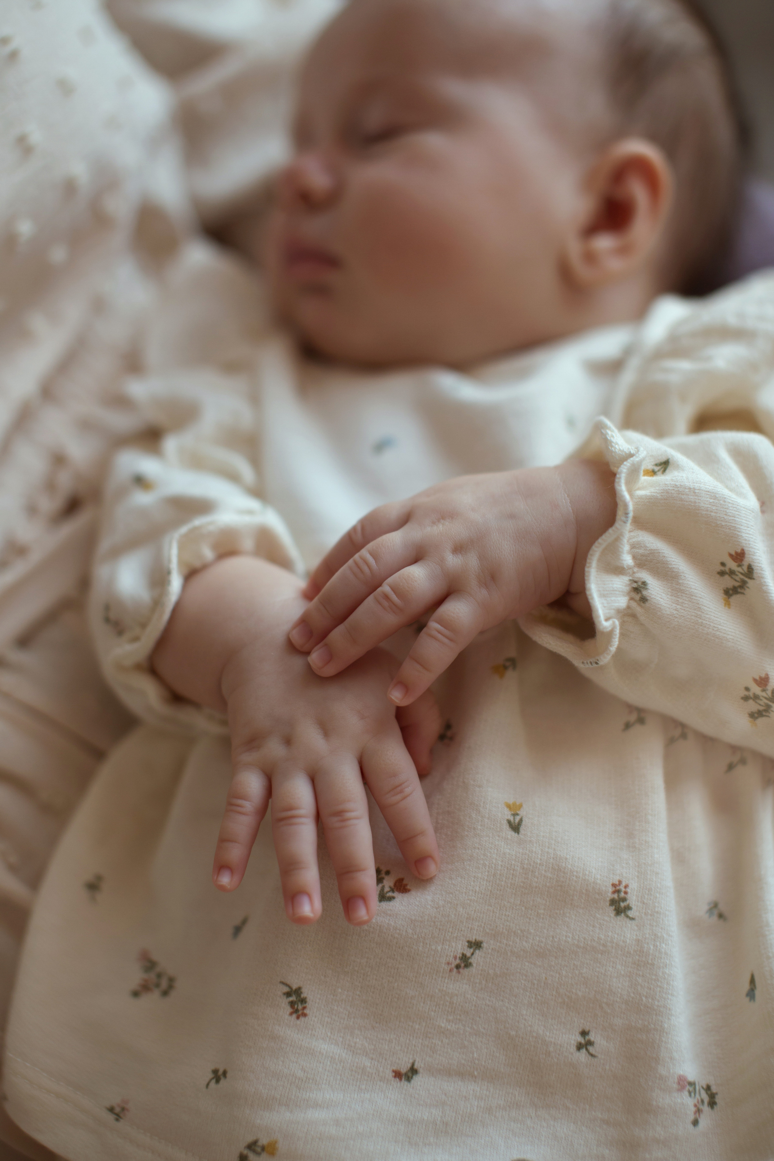 Домашняя семейная история