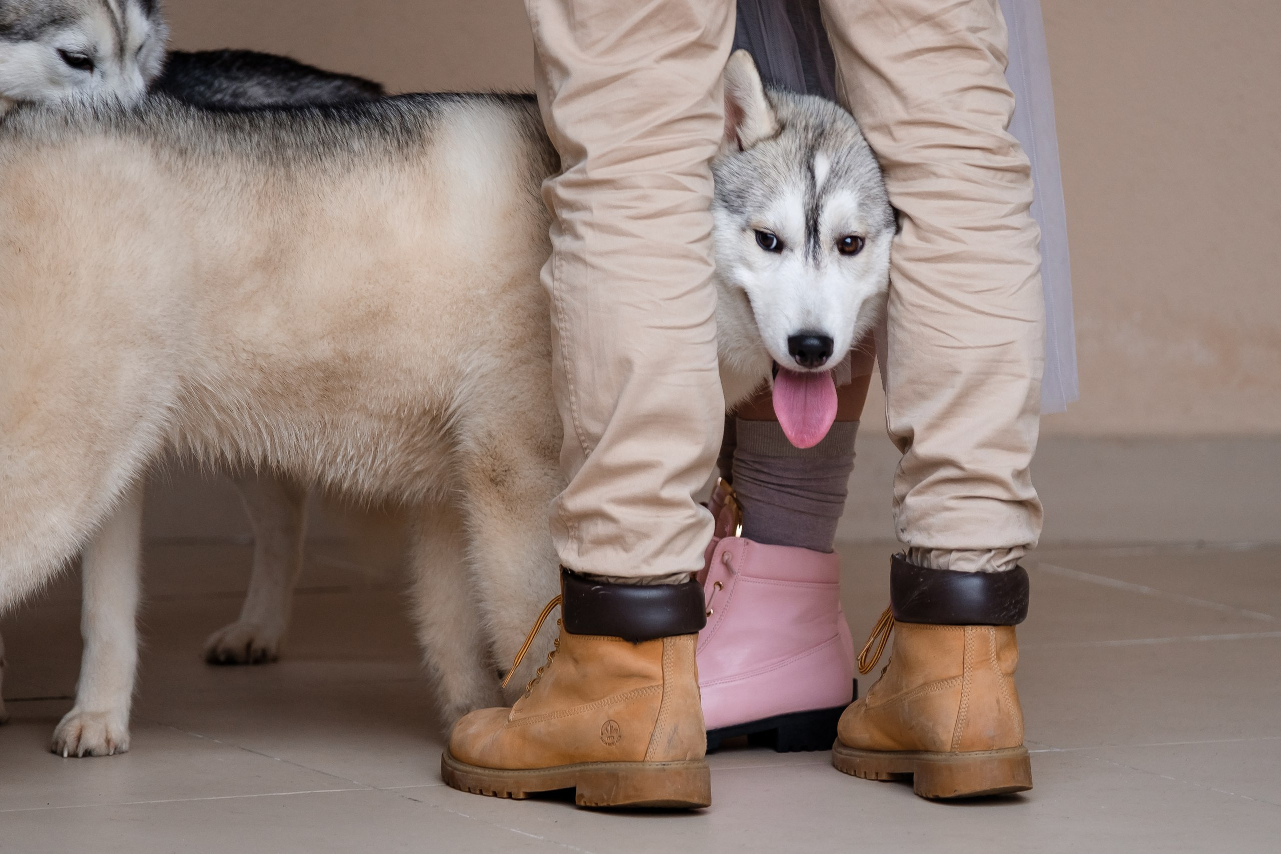 Love Story на Красной Поляне