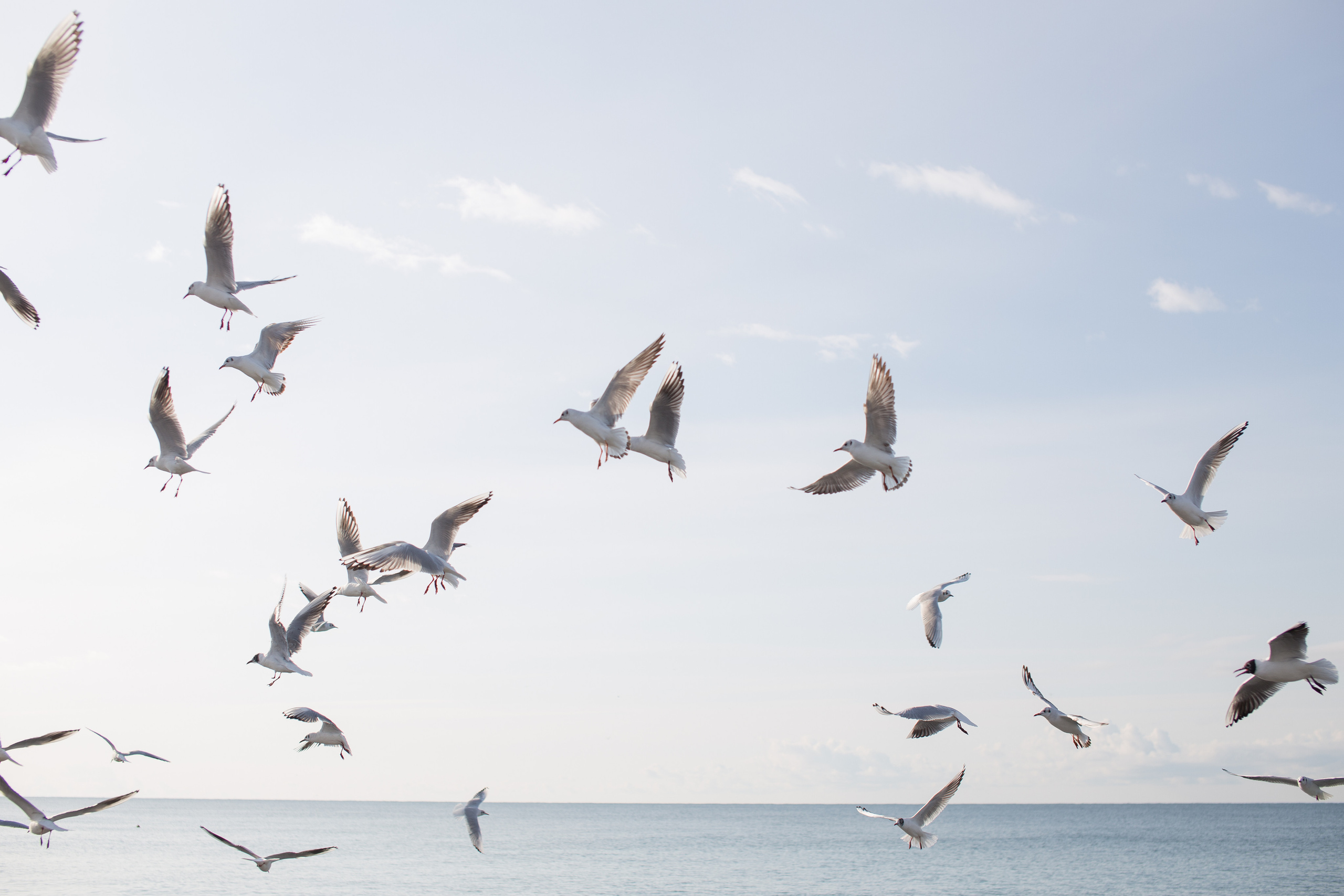 Морская история