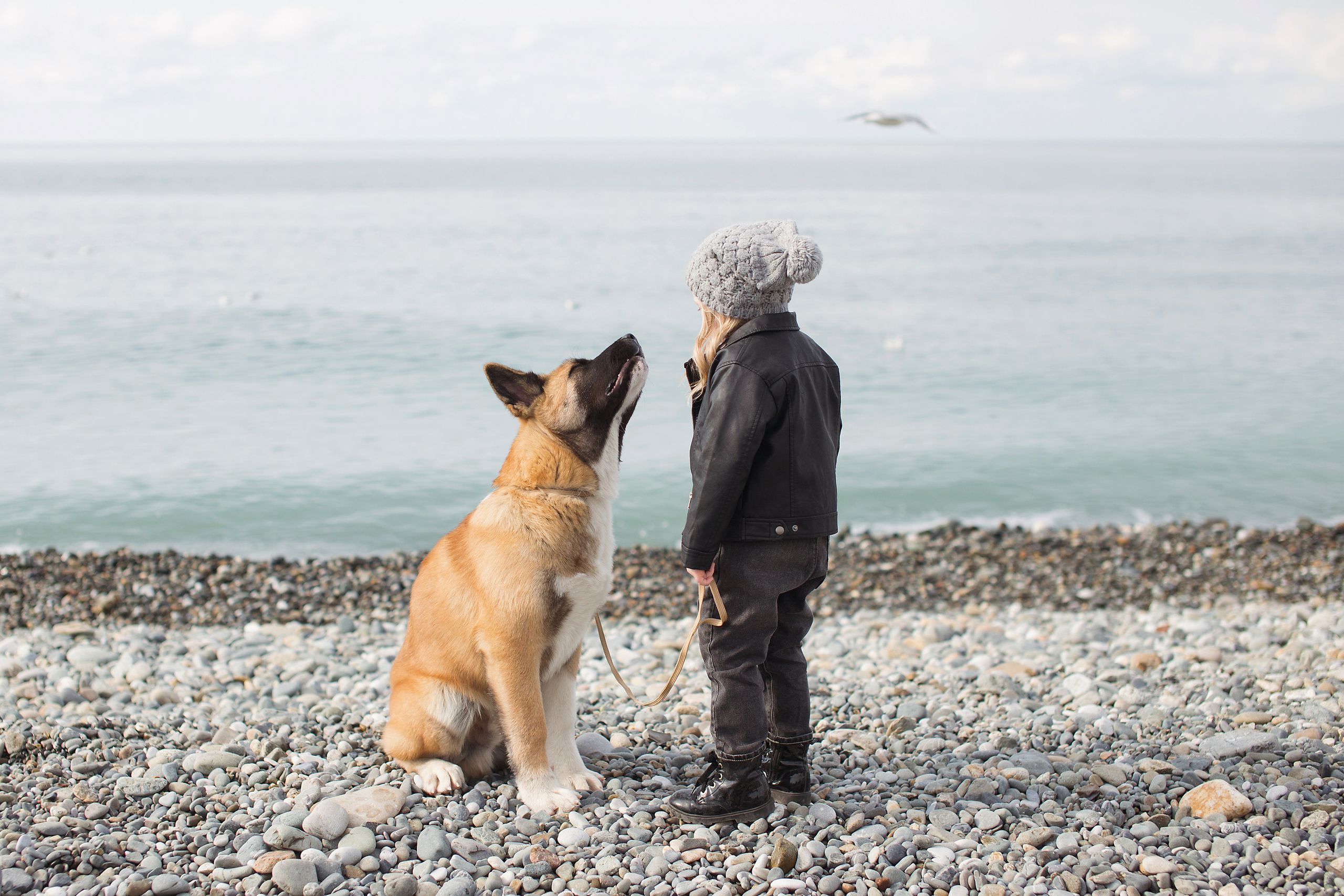 Морская история