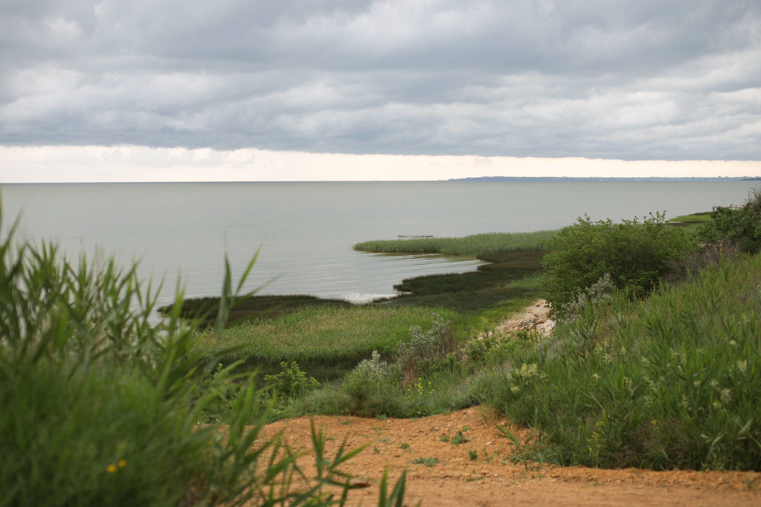 Максим и Олеся