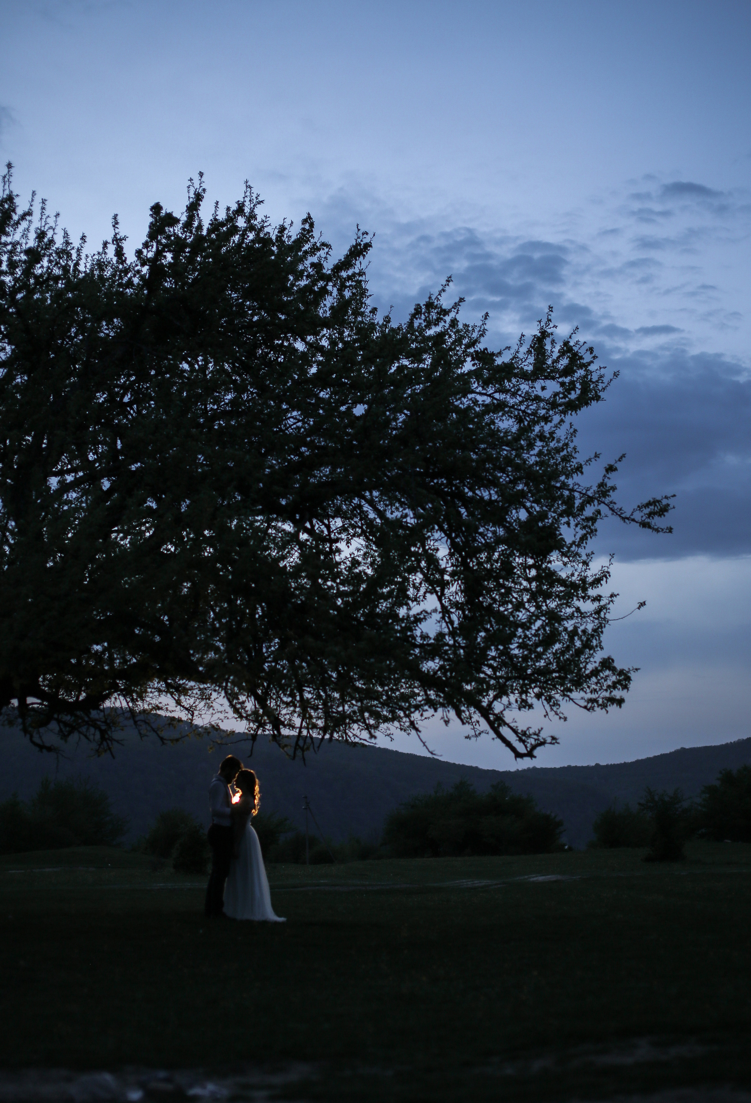 Свадьба Ильи и Алены