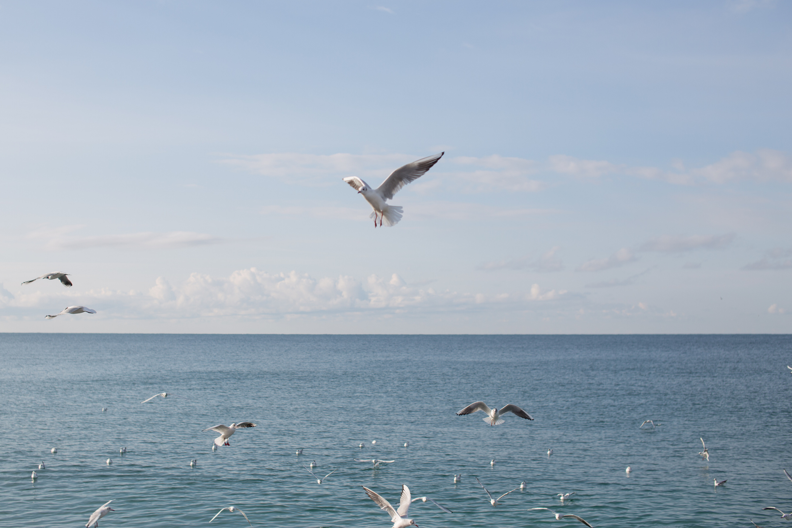 Морская история