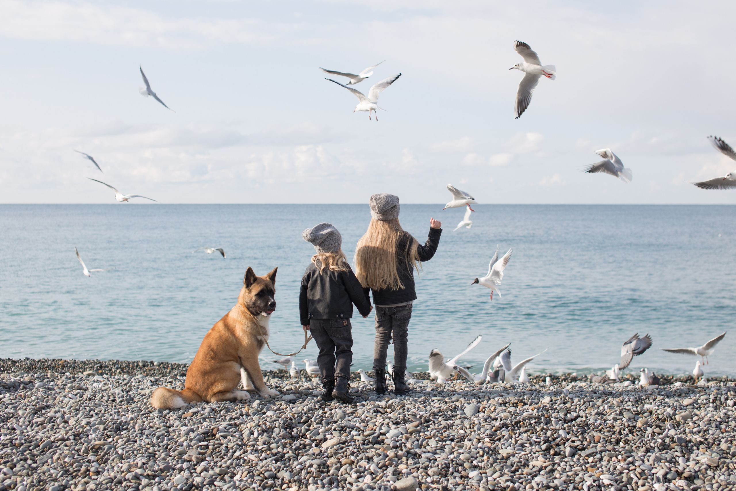 Морская история