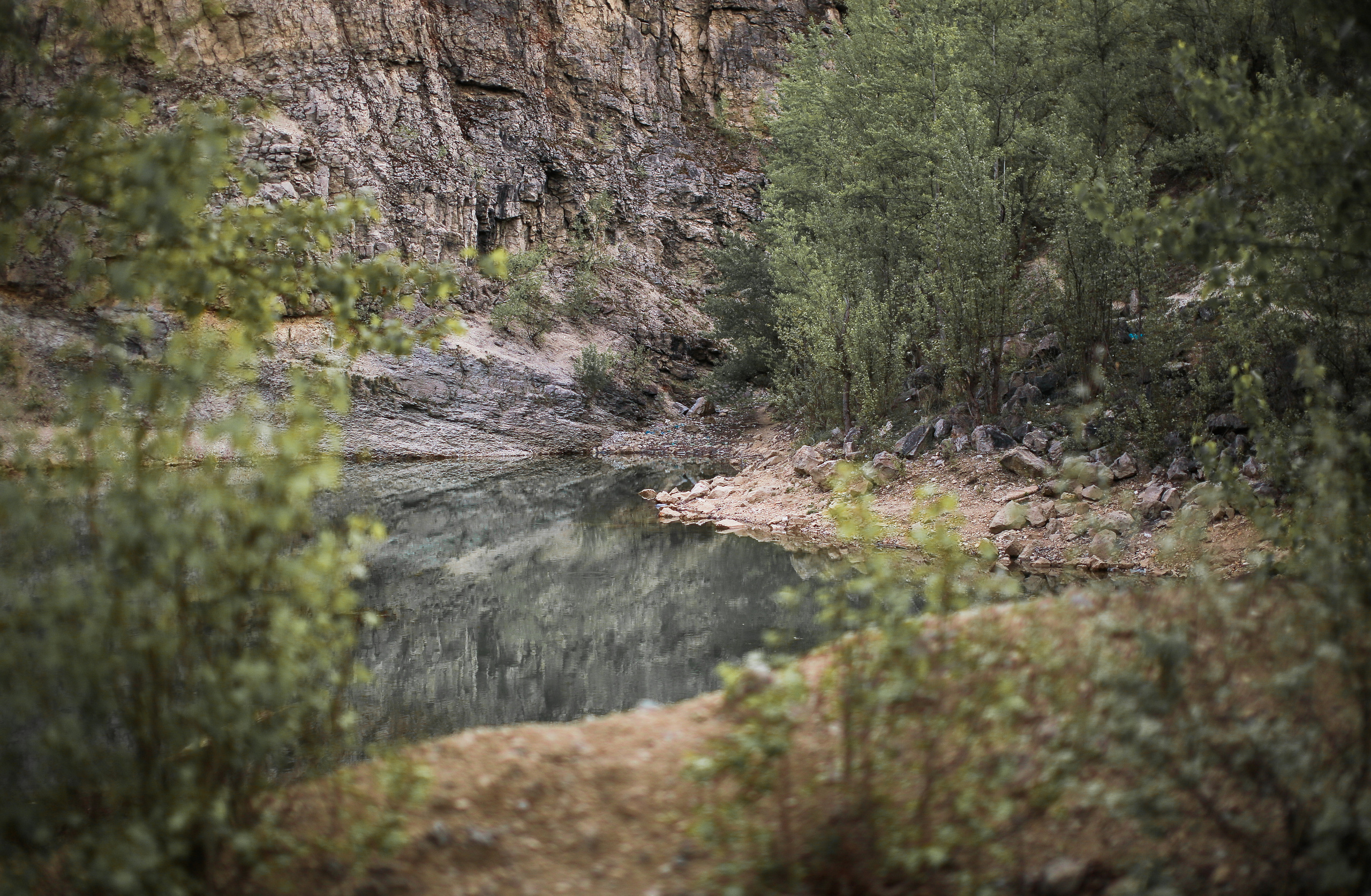 Свадьба Ильи и Алены
