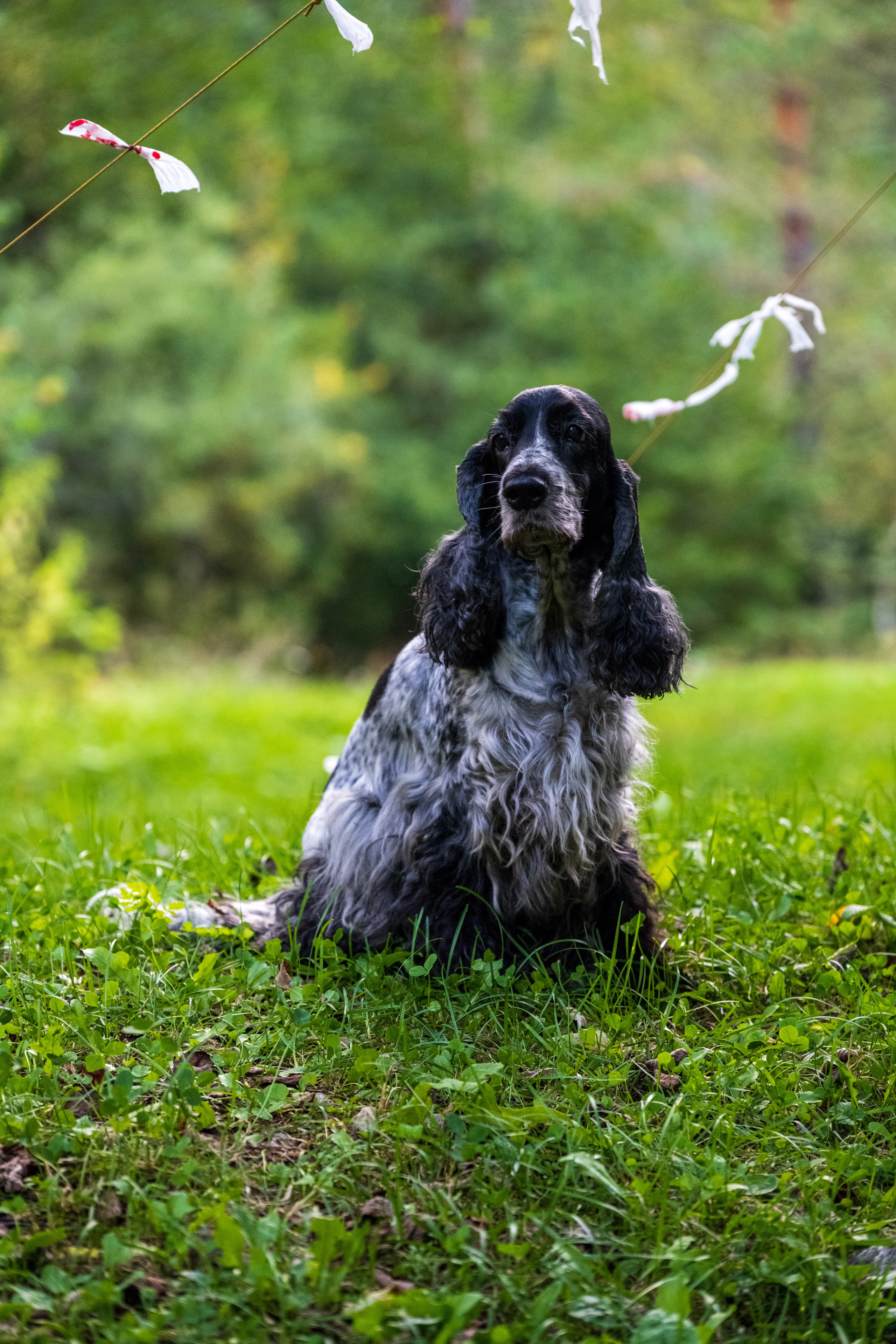 Экспедиция 2024