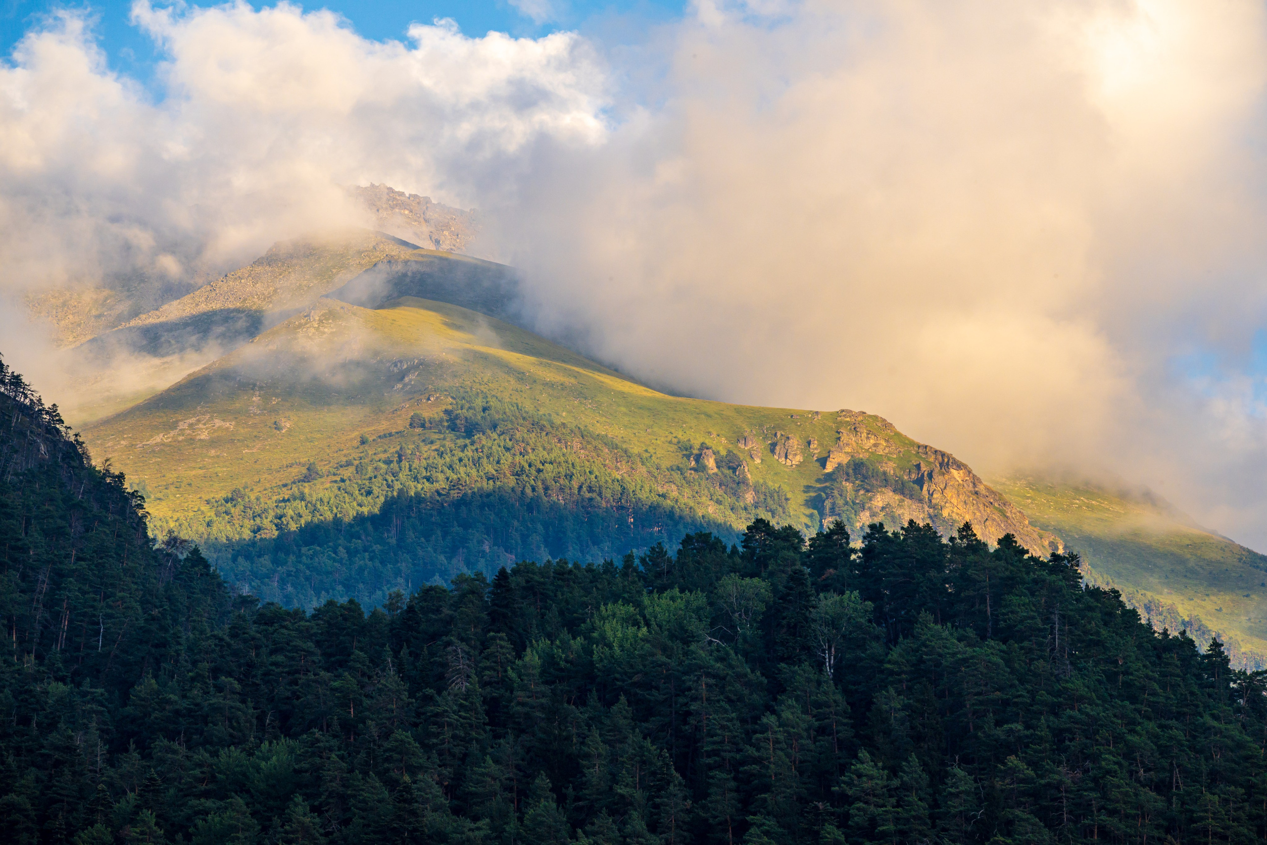 Экспедиция 2025