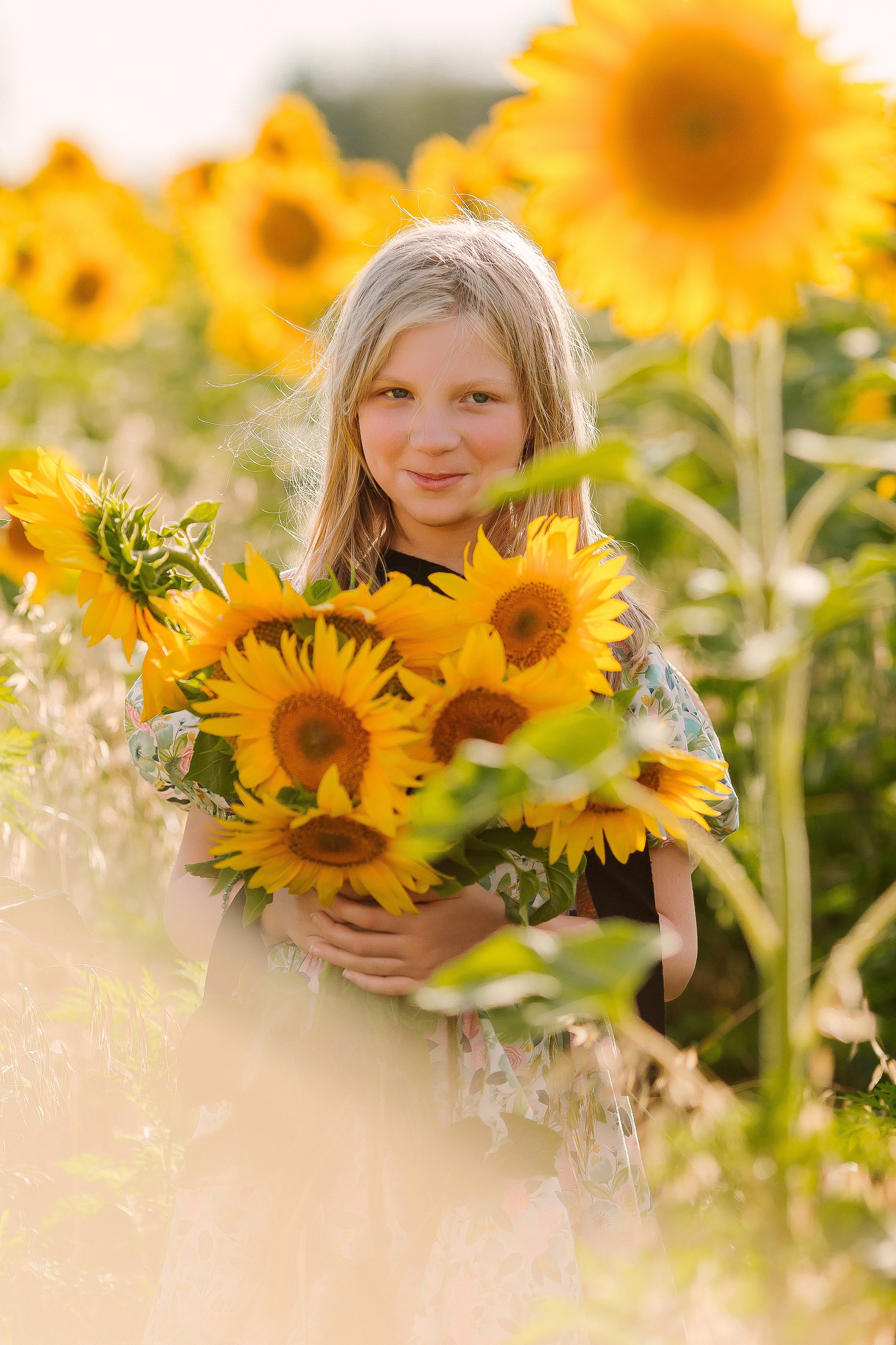 Подсолнухи. Выпускные альбомы Натальи Бутко: Новороссийск, Анапа, Геленджик