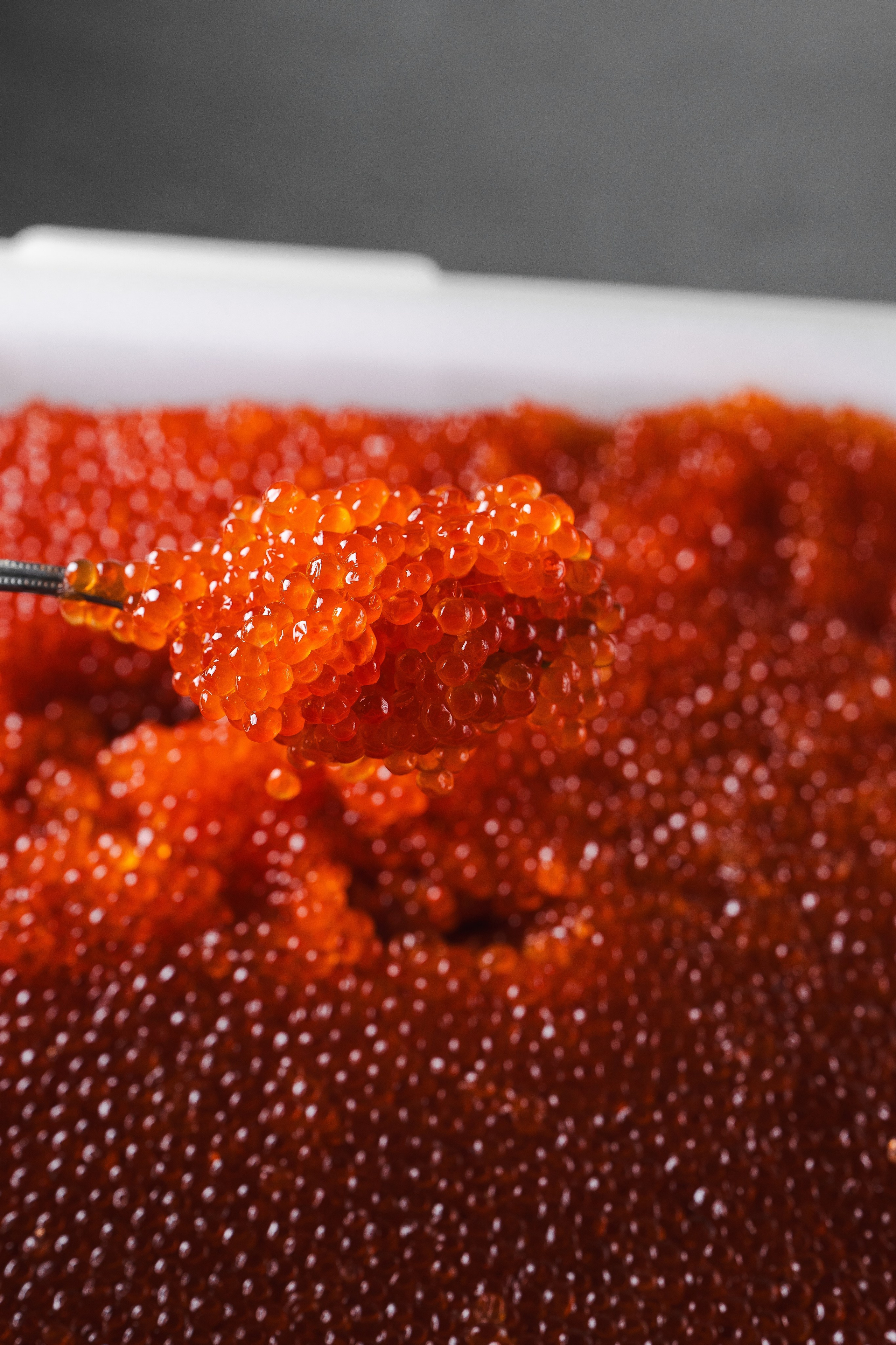 Амурро. Фотограф Хабаровск