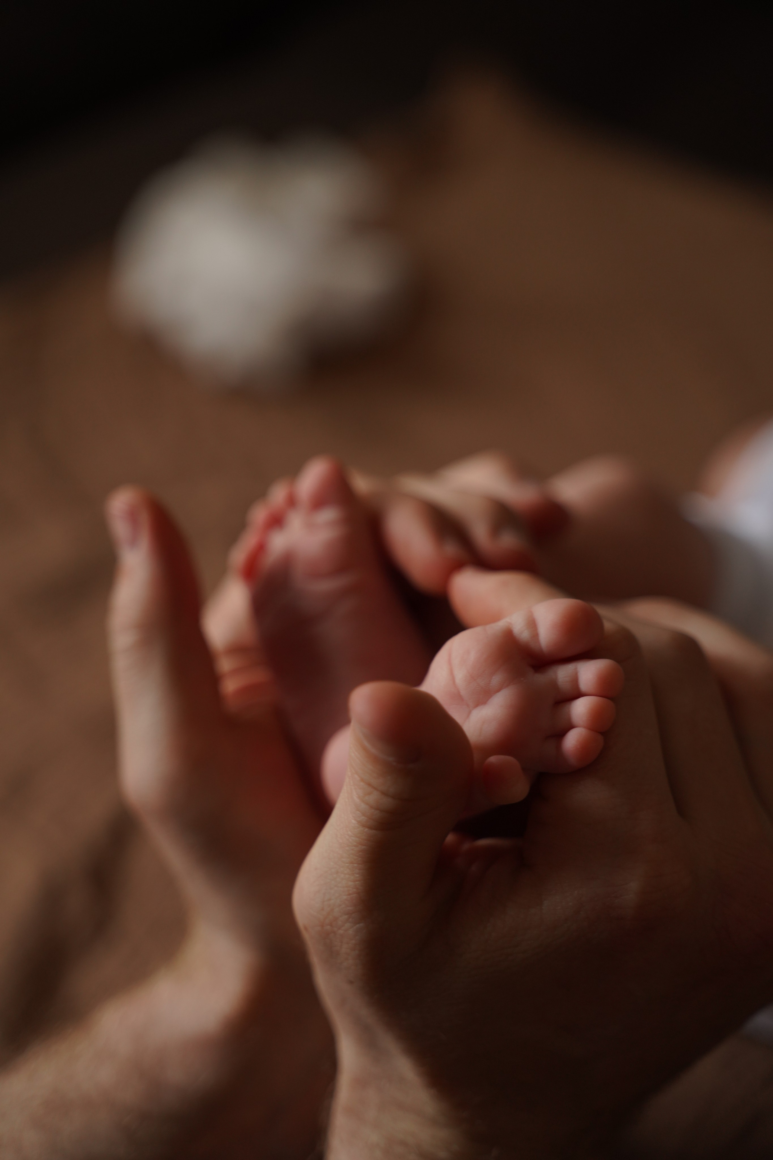 Семья Долмонего. Фотограф Алина Филимонова Тверь