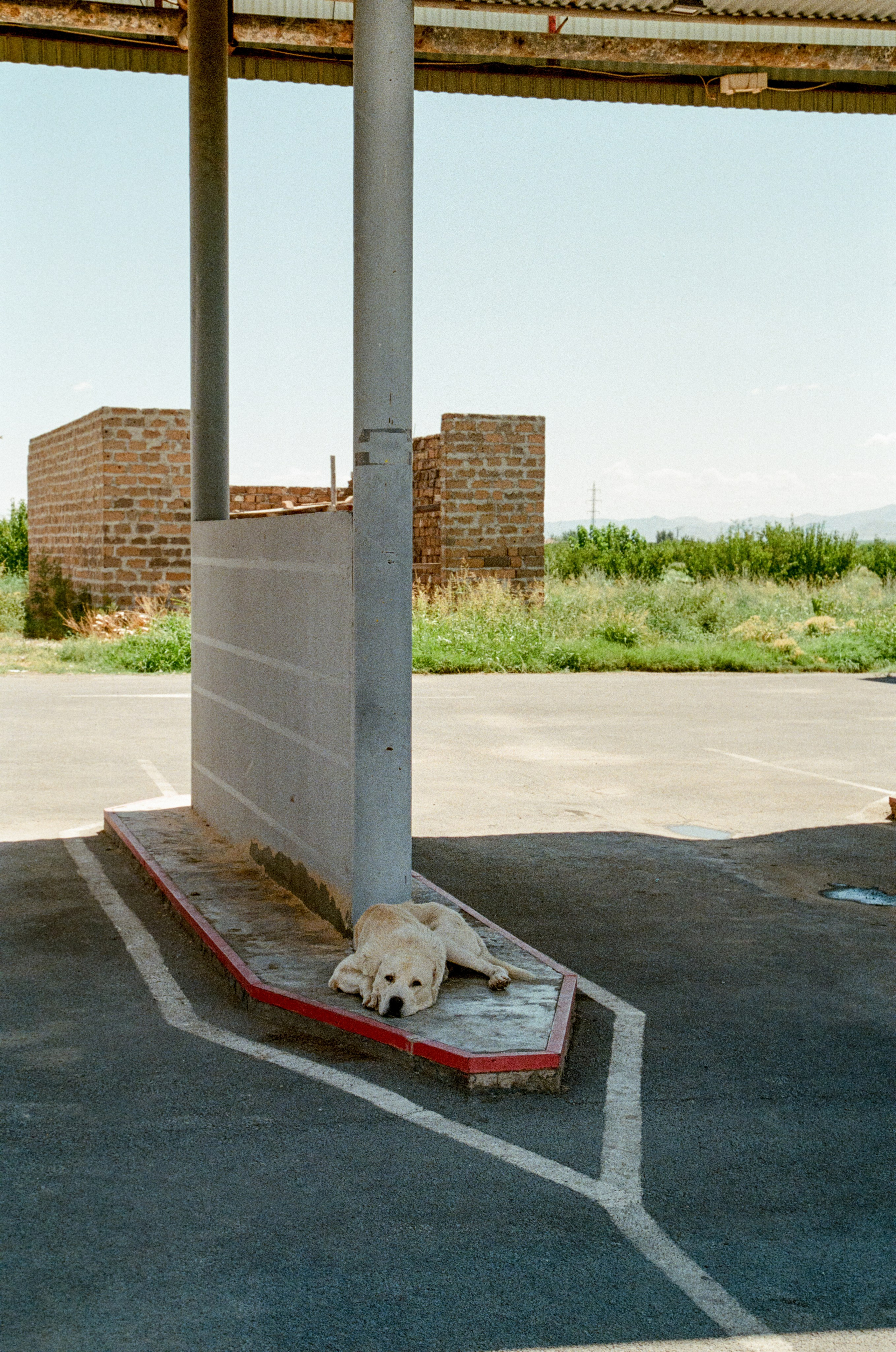 АРМЕНИЯ.24. Профессиональный фотограф Федотова Арина
