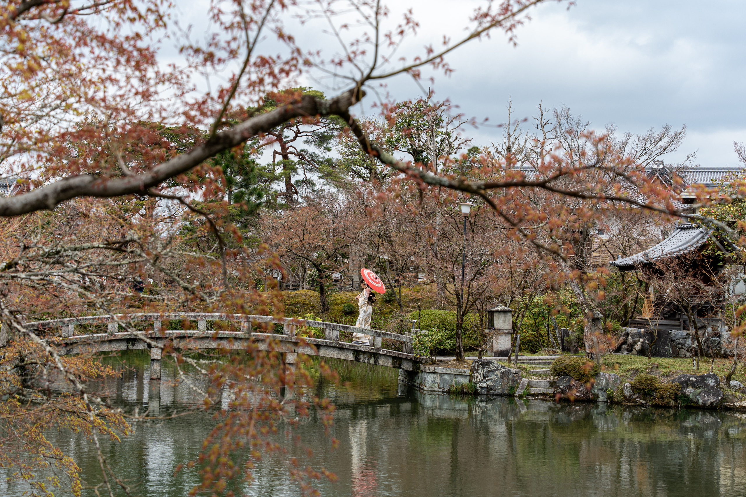 Япония, сакура. Творческие сьемки