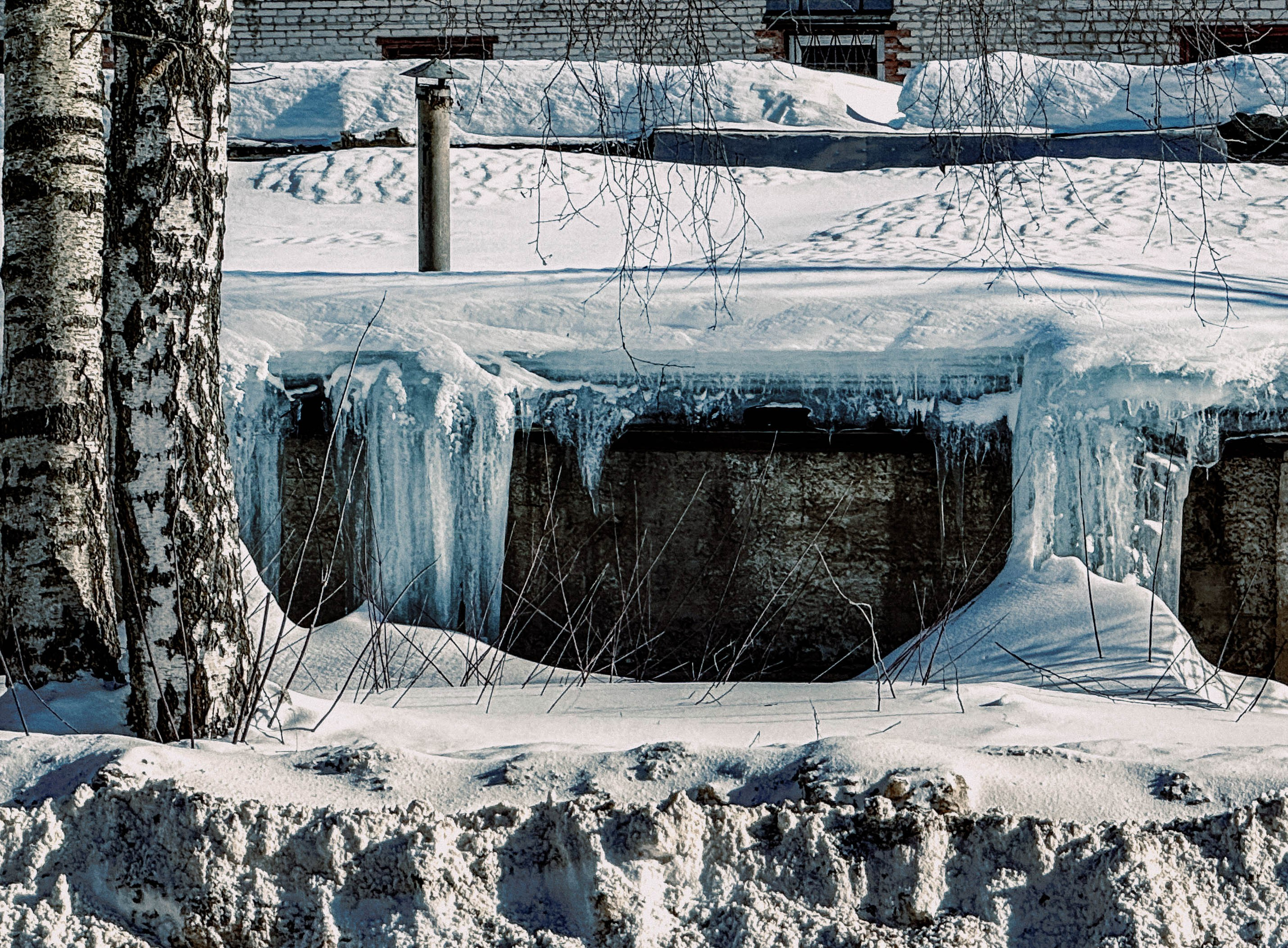Winter. Фотограф Арсений Королев