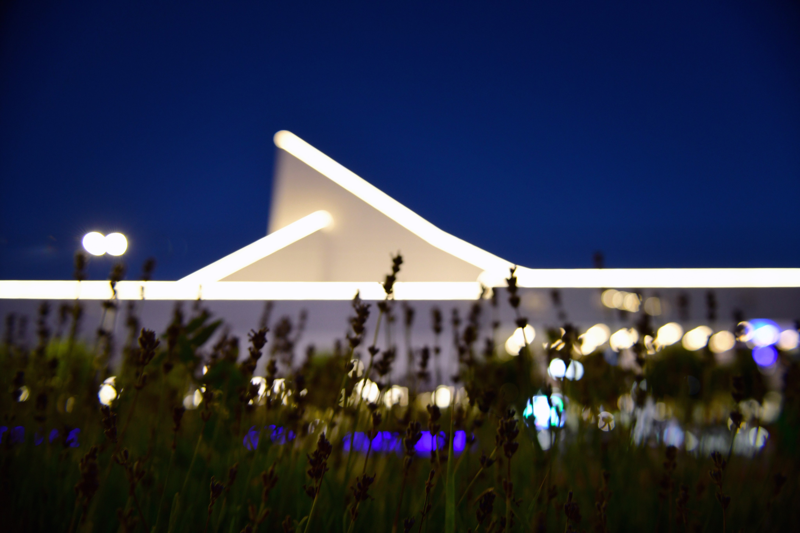 РОСТОВ. Фотограф Глеб Садов