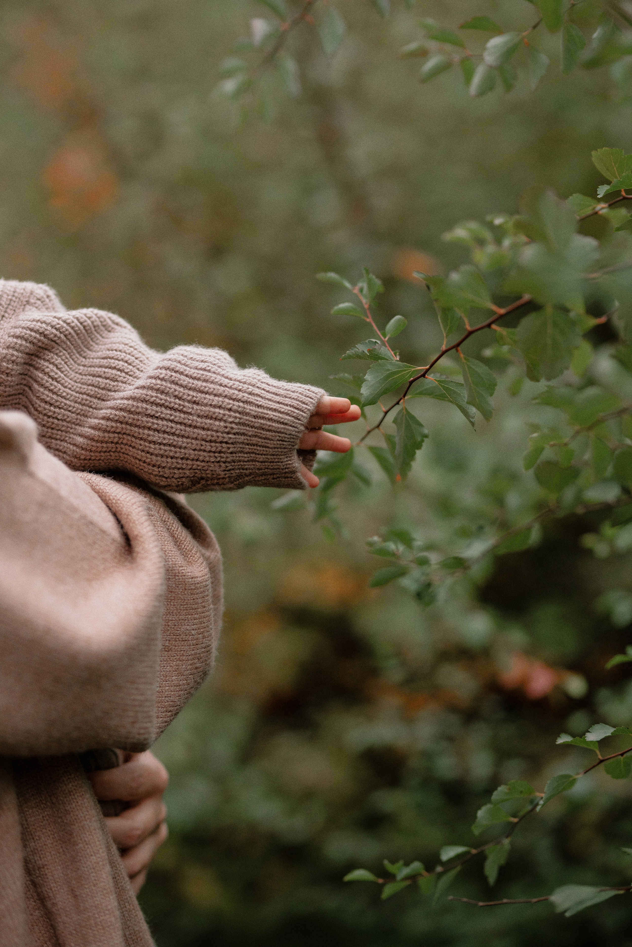Максим, Таня и Стефан
