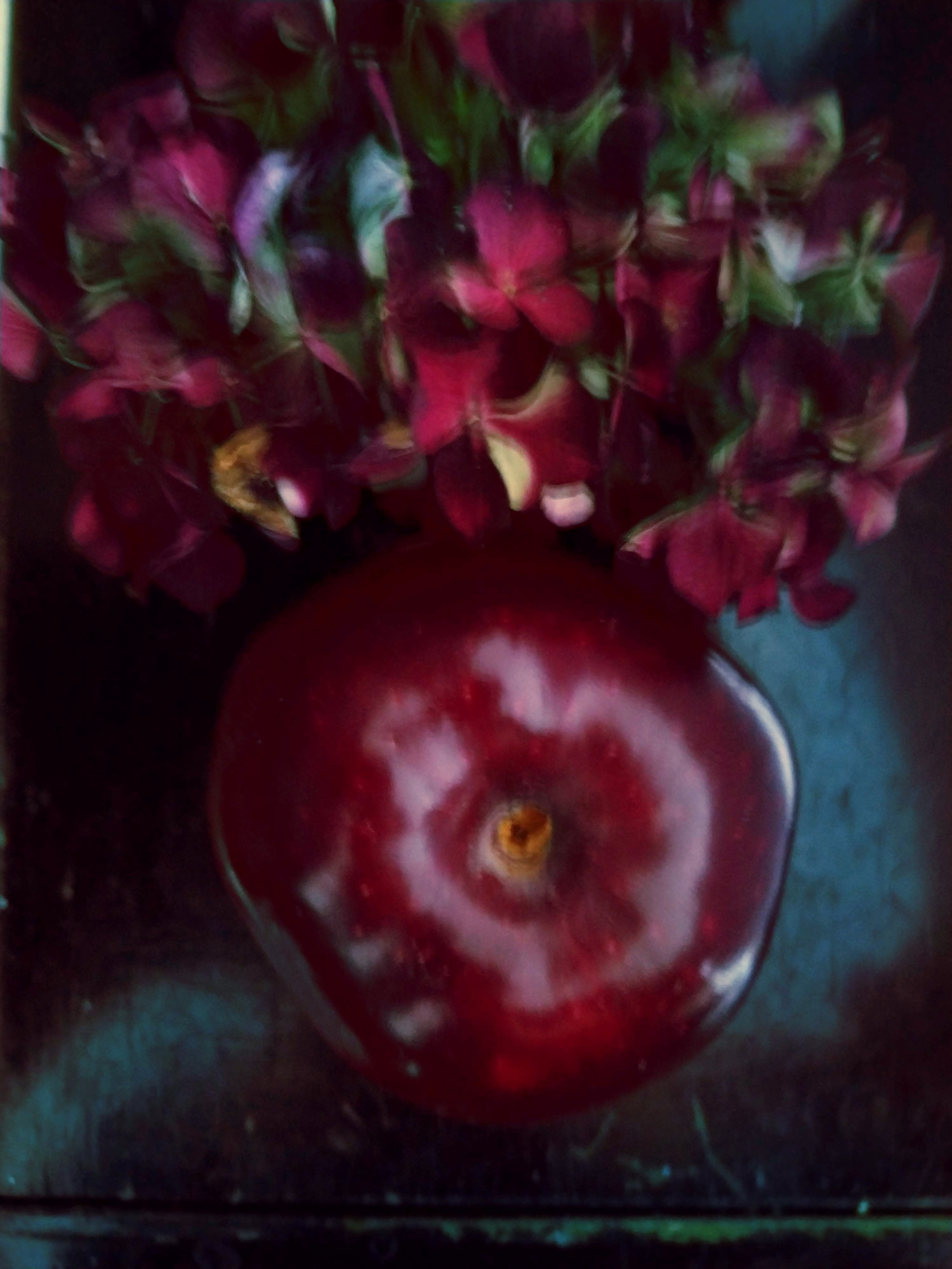 Яблоко. Катерина Малама арт-фотограф