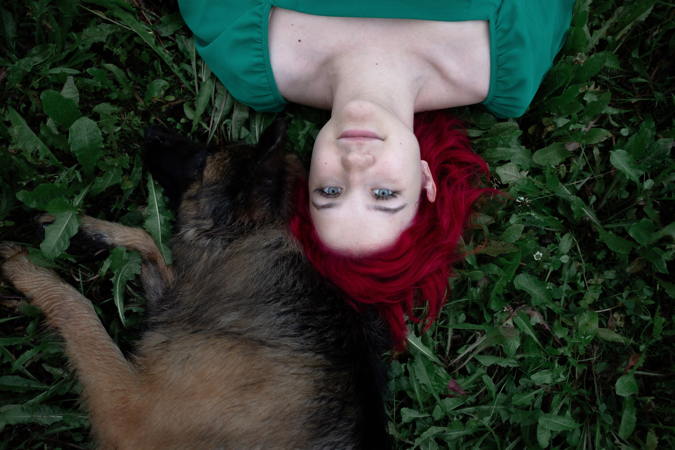 Алена, Фанни и Фрея. Фотограф и видеограф анималист Аганина Дарья