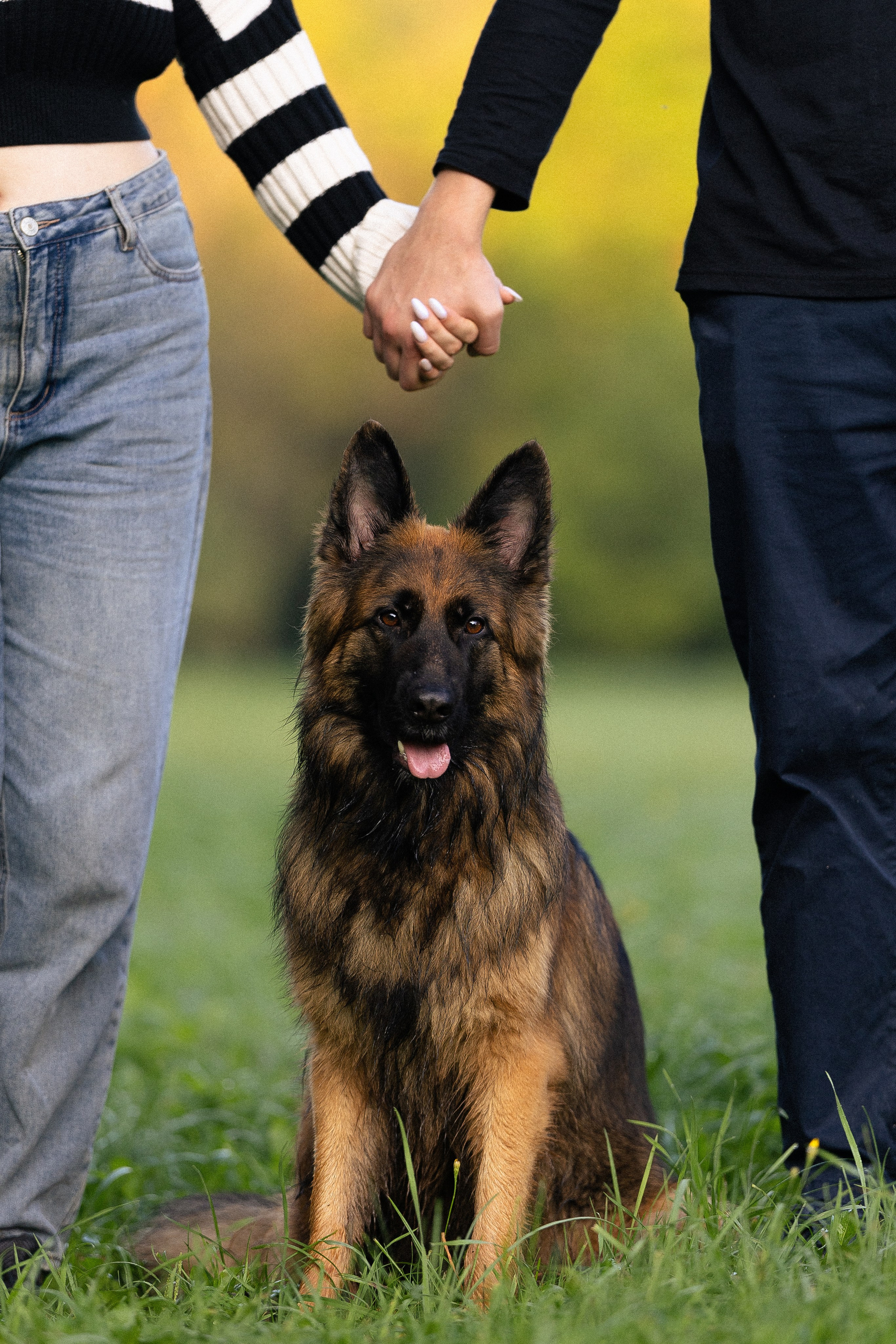 Алена, Матвей, Фанни и Фрея. Фотограф и видеограф анималист Аганина Дарья