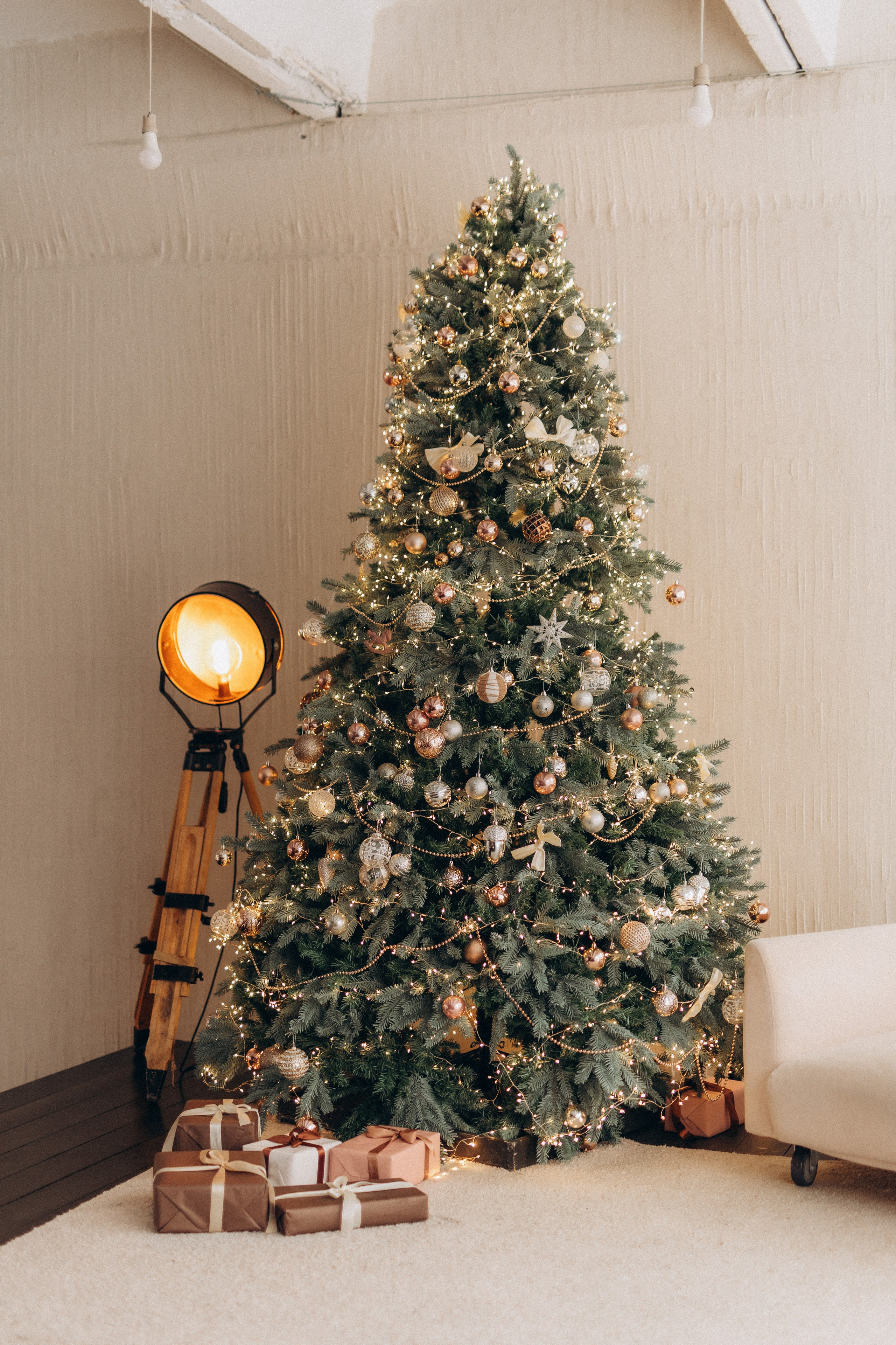 Дарья. Фотограф Анастасия Петрова