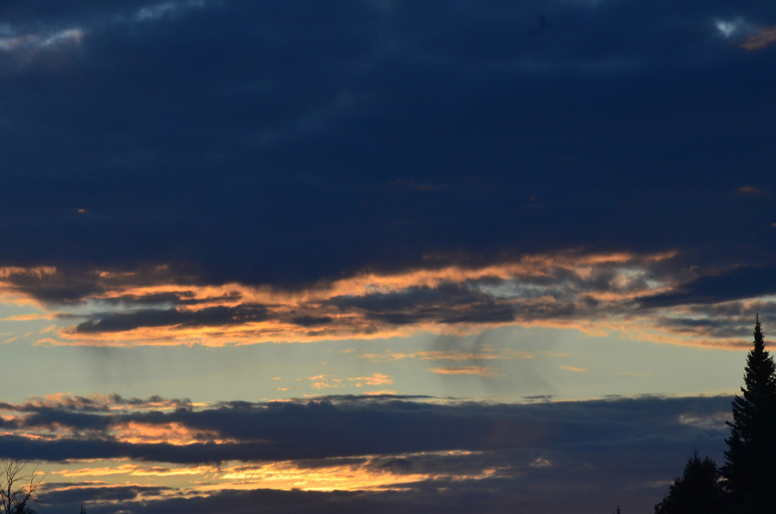 Дары природы. Фотограф viktor viktor