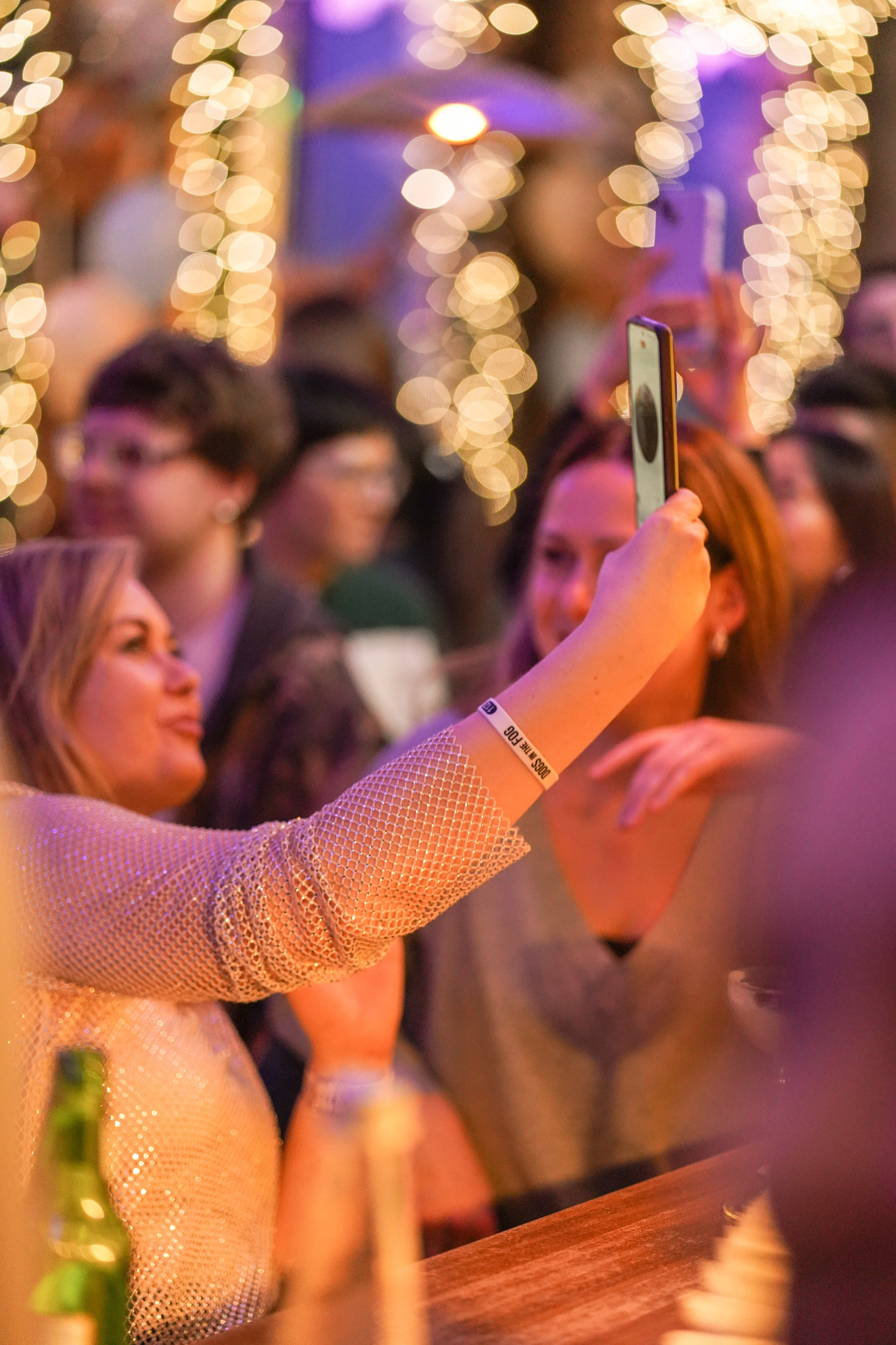 Бар Собаки в тумане. Фотограф